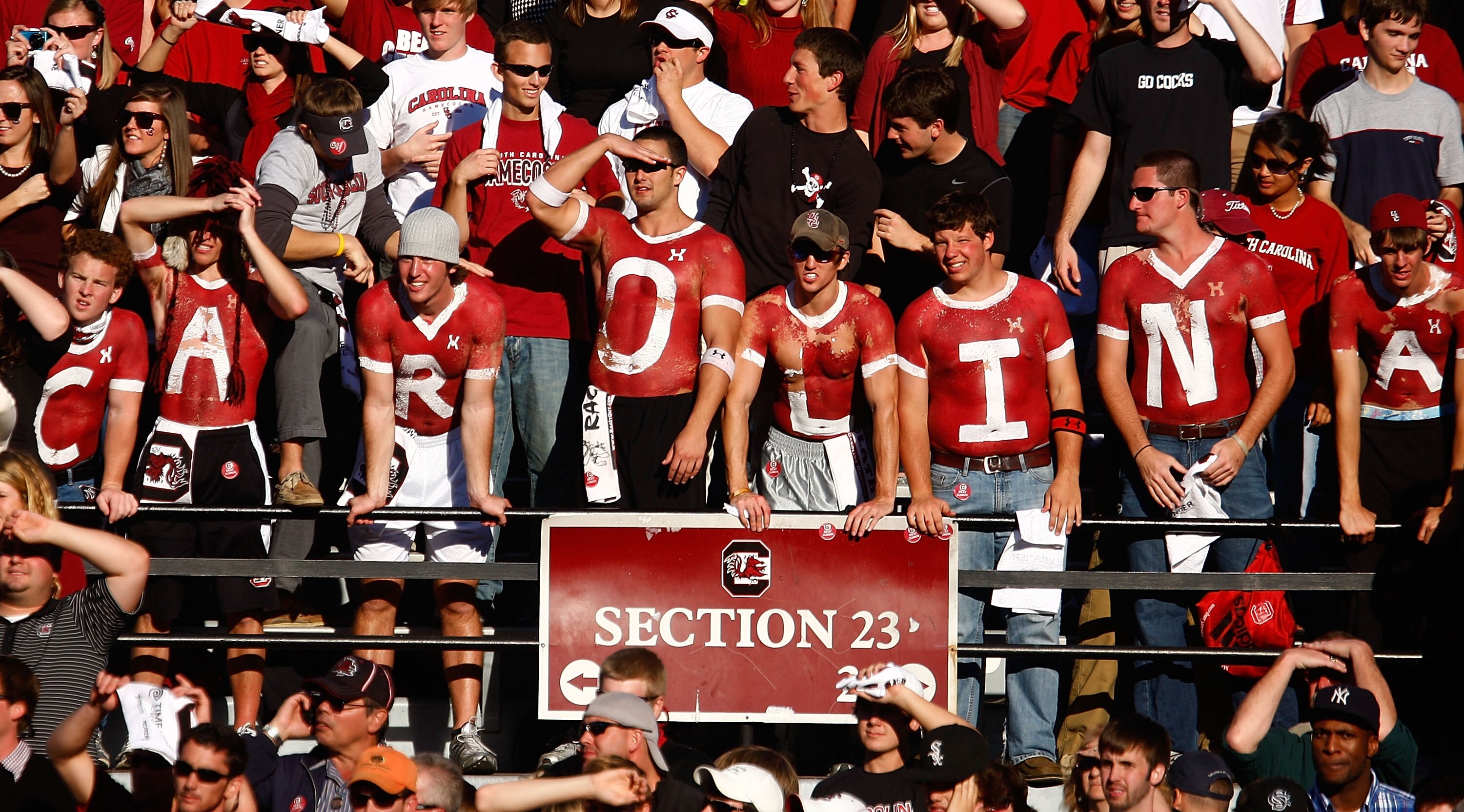 COLUMBIA, SC - NOVEMBER 28:  South Carolina Gamecocks fans watch the game against the Clemson Tigers at Williams-Brice Stadium on November 28, 2009 in Columbia, South Carolina.  (Photo by Scott Halleran/Getty Images)