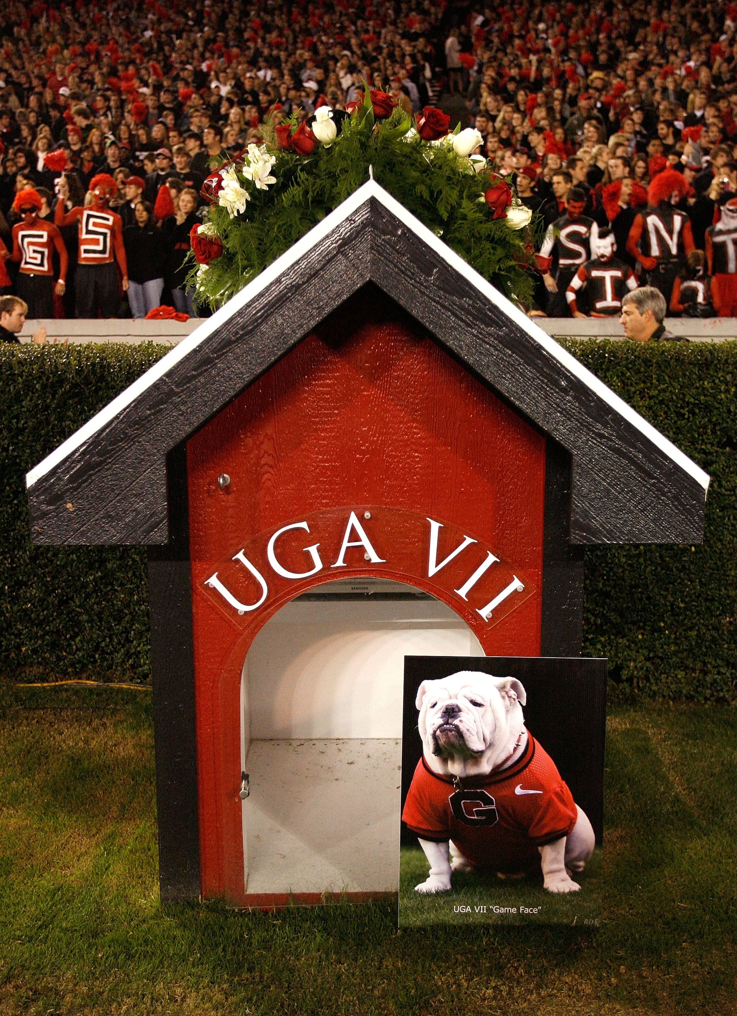 ATHENS, GA - NOVEMBER 21:  A wreath lay on top of the doghouse in honor of UGA VII before the game between the Georgia Bulldogs and the Kentucky Wildcats at Sanford Stadium on November 21, 2009 in Athens, Georgia.  (Photo by Kevin C. Cox/Getty Images)