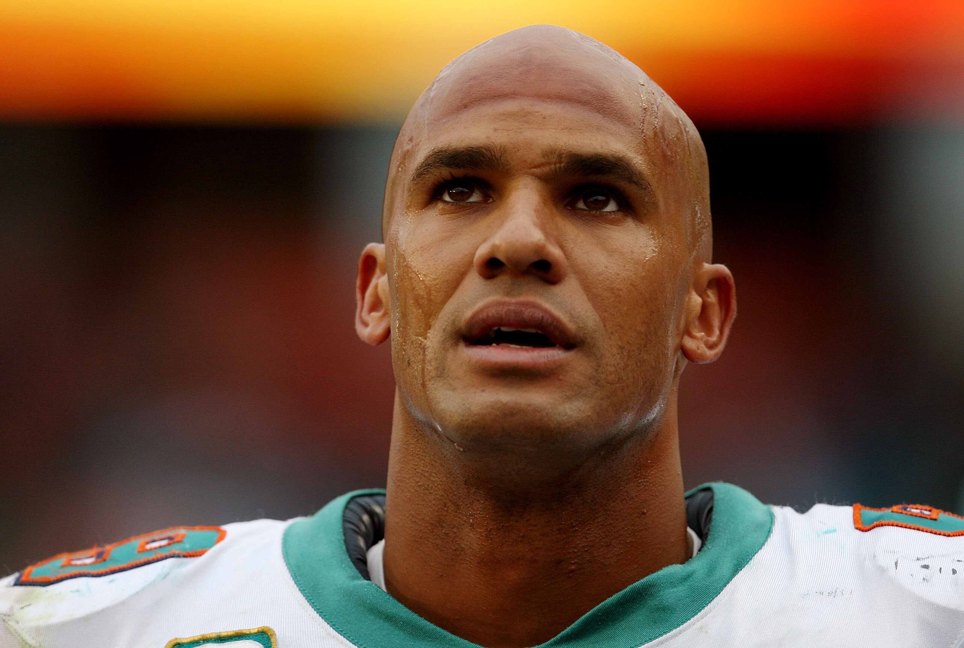MIAMI - JANUARY 03:  Linebacker Jason Taylor #99 of the Miami Dolphins looks up as the last few moments of the game tick away against the Pittsburgh Steelers calls out a play at the line of scrimmage at Land Shark Stadium on January 3, 2010 in Miami, Flor