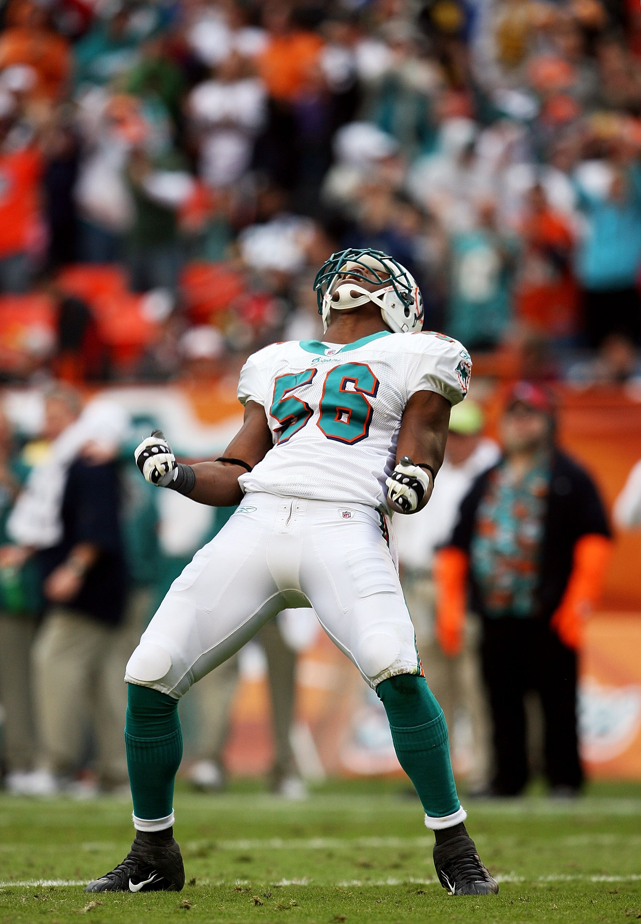 MIAMI - JANUARY 03:  Linebacker Charlie Anderson #56 of the Miami Dolphins celebrates after a defensive stop against the Pittsburgh Steelers at Land Shark Stadium on January 3, 2010 in Miami, Florida. The Steelers defeated the Dolphins 30-24.  (Photo by D