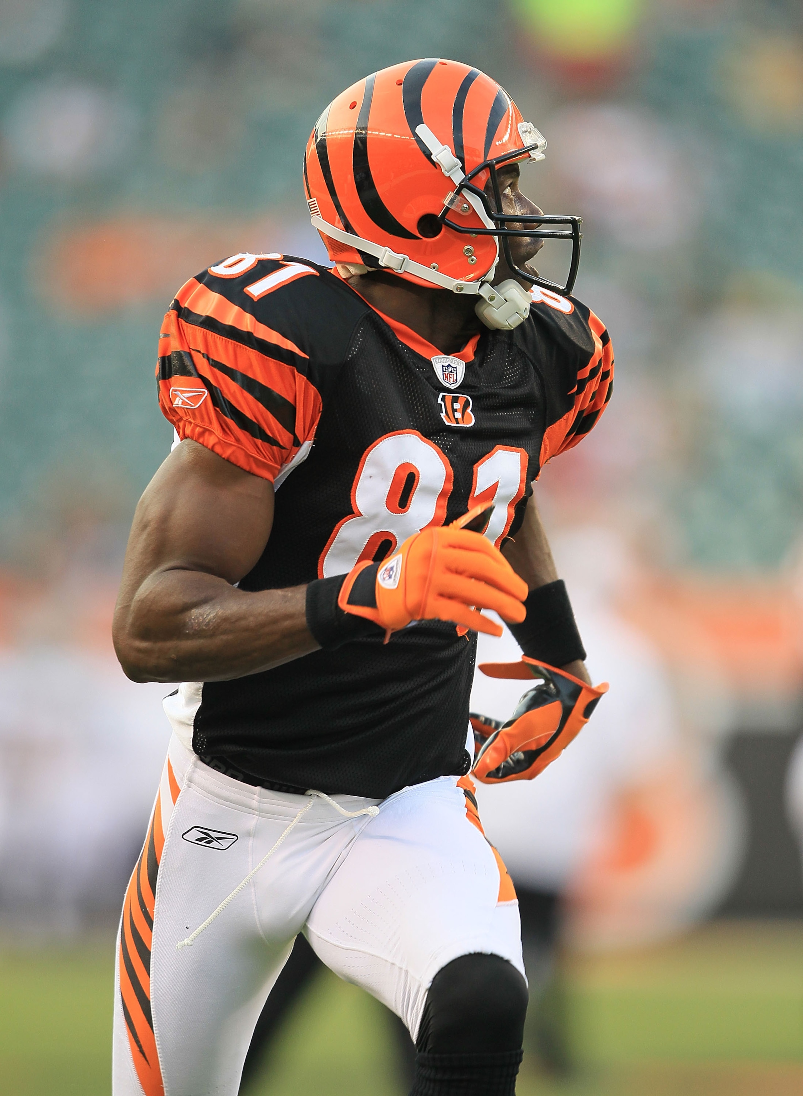 CINCINNATI - AUGUST 20:  Terrell Owens #81 of the Cincinnati Bengals is pictured before the NFL preseason game against the Philadelphia Eagles at Paul Brown Stadium on August 20, 2010 in Cincinnati, Ohio.  (Photo by Andy Lyons/Getty Images)