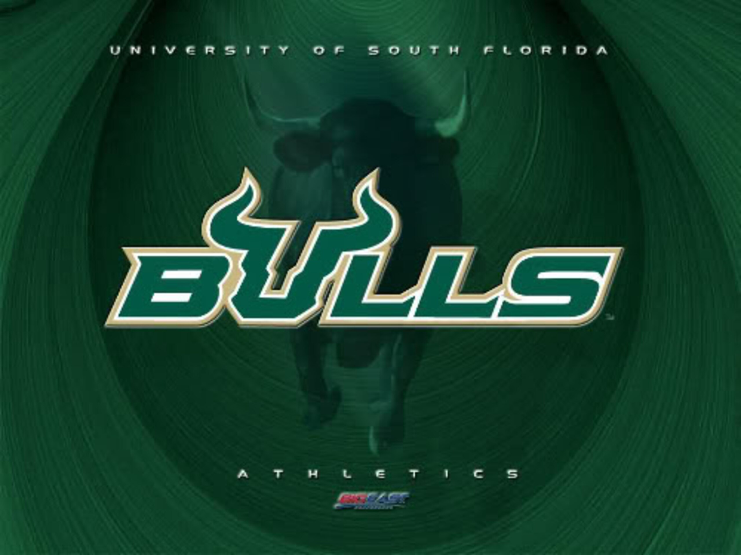 USF Bulls