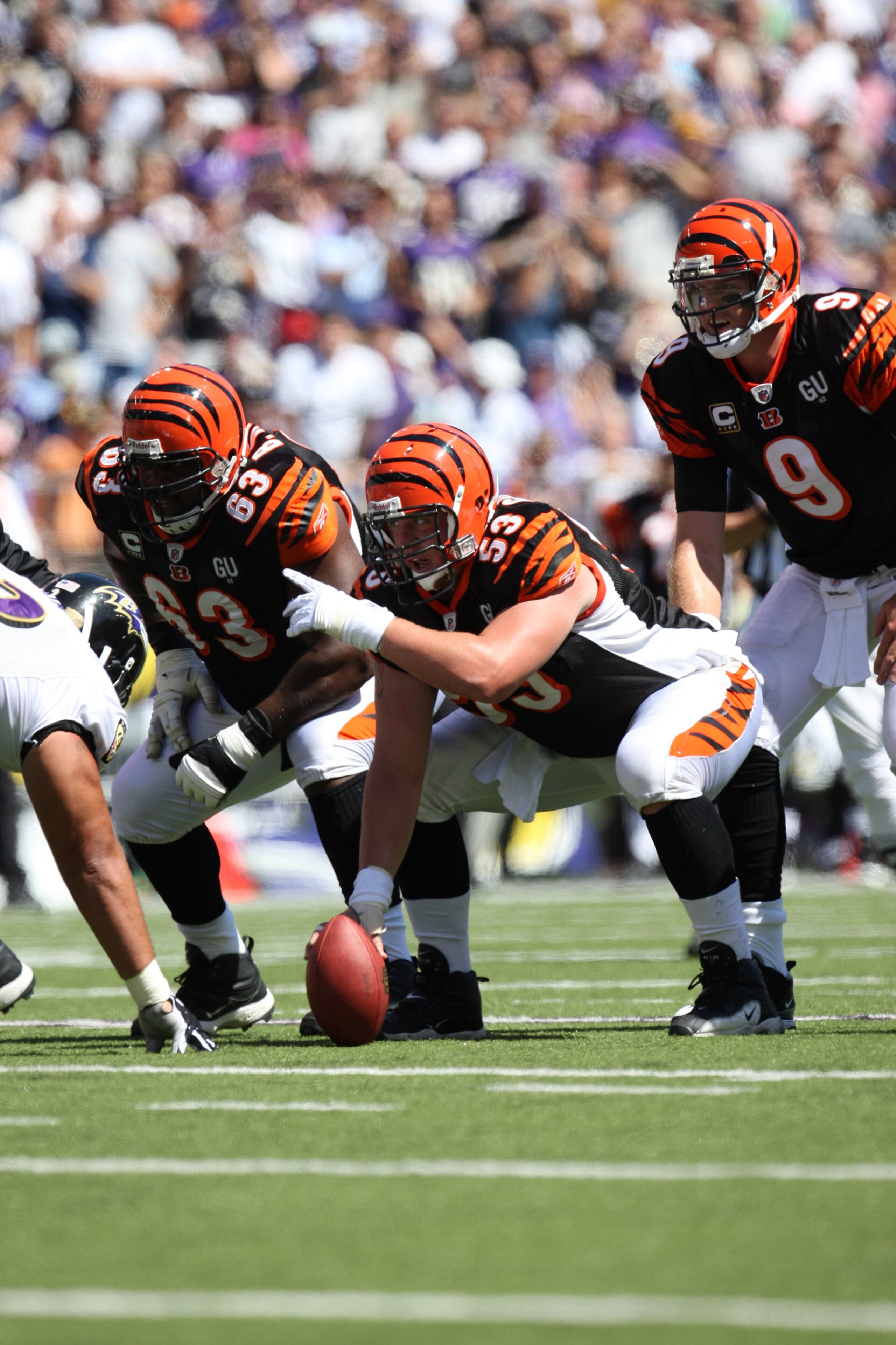 BALTIMORE - SEPTEMBER 7: Center Eric Ghiaciuc #53 of the Cincinnati Bengals points out coverage against the Baltimore Ravens at M&T Bank Stadium on September 7, 2008 in Baltimore, Maryland. The Ravens won 17-10. (Photo by Ned Dishman/Getty Images)
