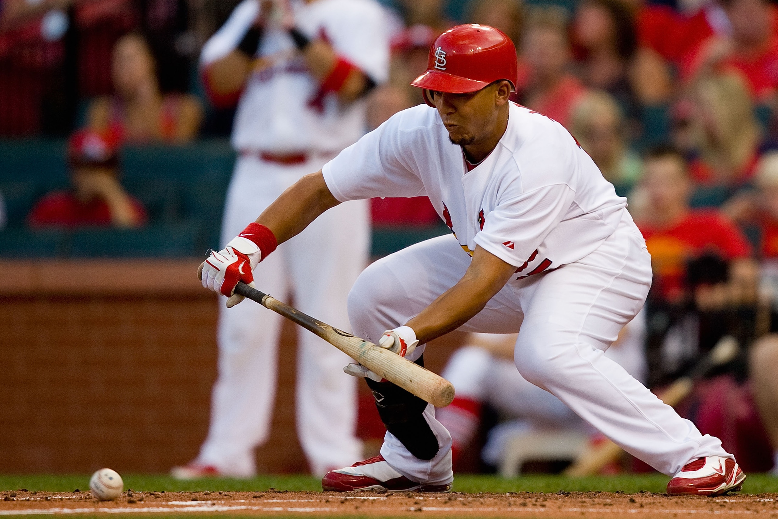 ST. LOUIS - AUGUST 21: Jon Jay #15 of the St. Louis Cardinals bunts against the San Francisco Giants at Busch Stadium on August 21, 2010 in St. Louis, Missouri.  (Photo by Dilip Vishwanat/Getty Images)