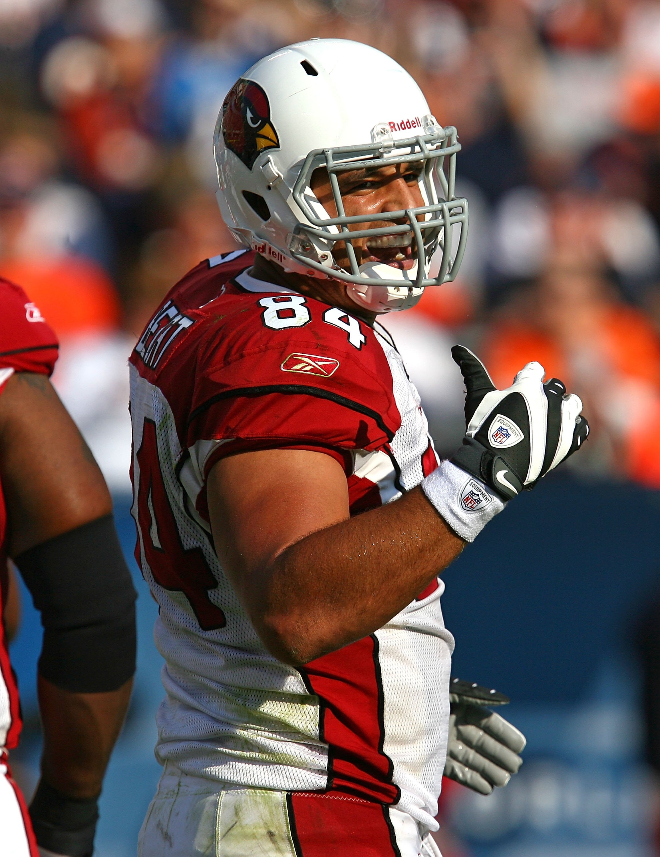 CHICAGO - NOVEMBER 08: Anthony Becht #84 of the Arizona Cardinals jokes with the Chicago Bear bench after catching a touchdown pass at Soldier Field on November 8, 2009 in Chicago, Illinois. The Cardinals defeated the Bears 41-21. (Photo by Jonathan Danie