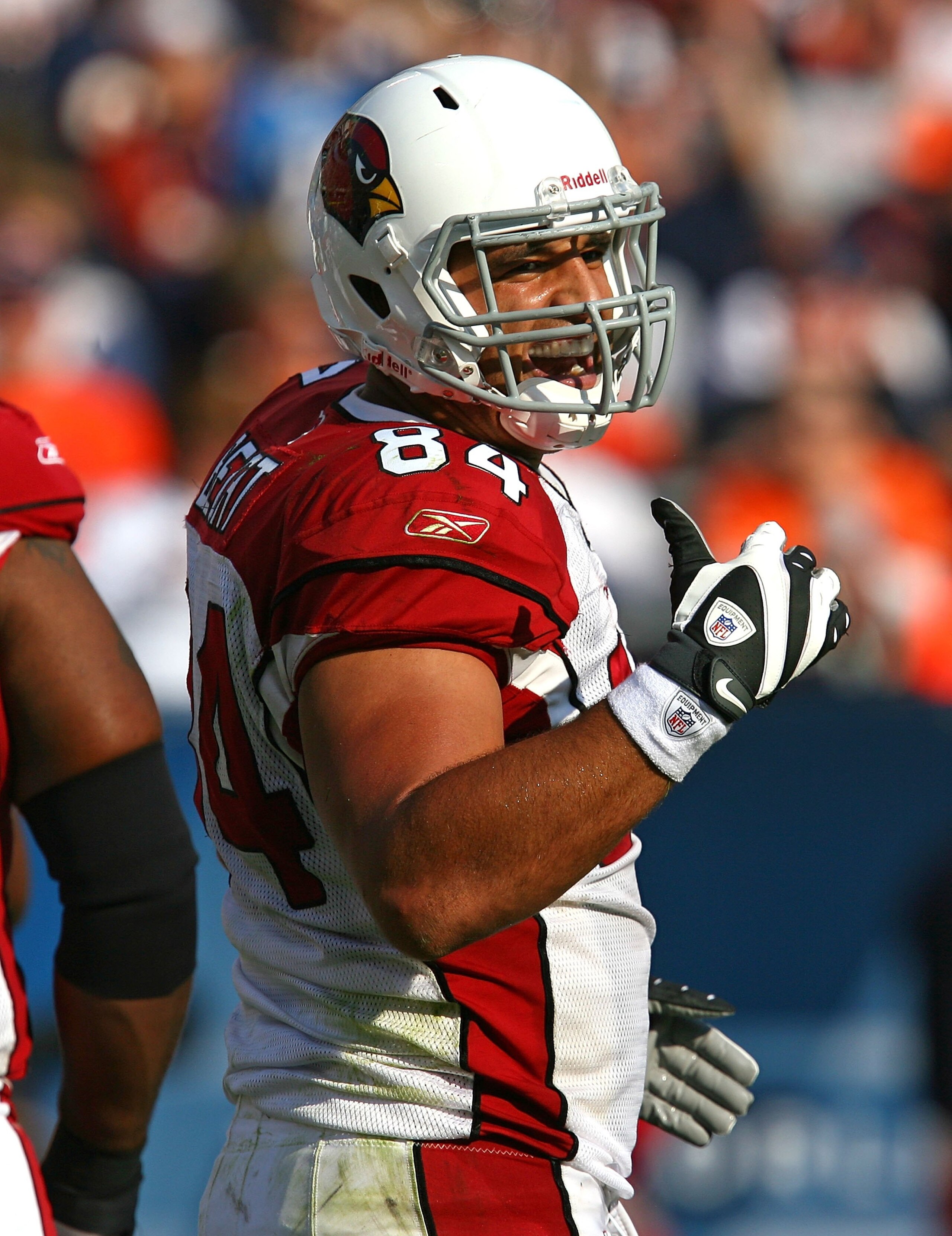 CHICAGO - NOVEMBER 08: Anthony Becht #84 of the Arizona Cardinals jokes with the Chicago Bear bench after catching a touchdown pass at Soldier Field on November 8, 2009 in Chicago, Illinois. The Cardinals defeated the Bears 41-21. (Photo by Jonathan Danie