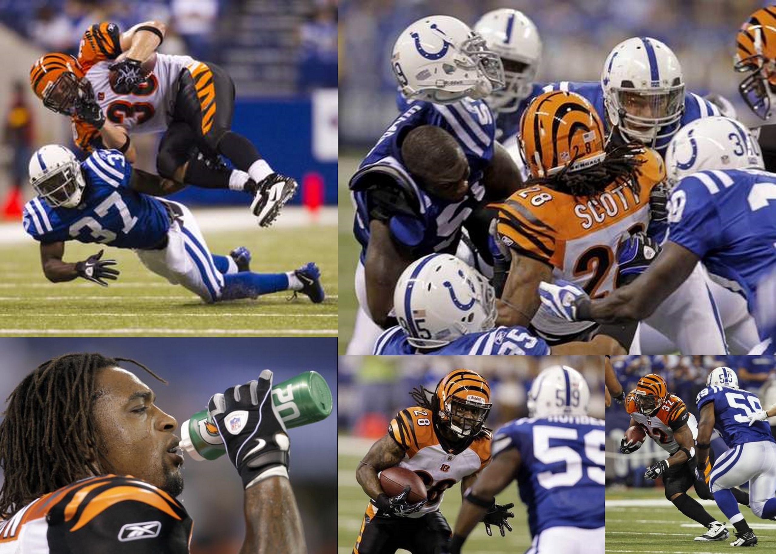 Bengals Backfield
