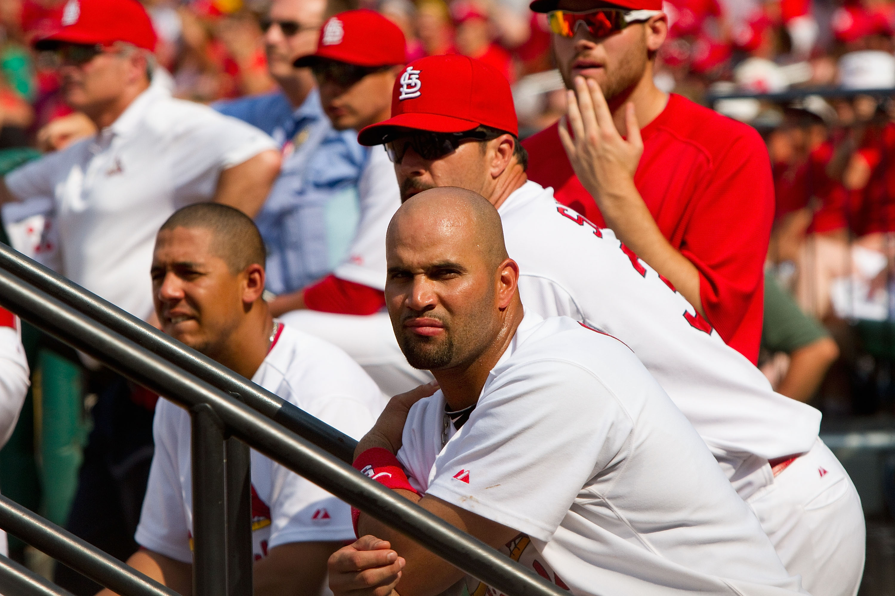 ST. LOUIS - AUGUST 18: Albert Pujols #5 of the St. Louis Cardinals looks on with teammates from the dugout against the Milwaukee Brewers  at Busch Stadium on August 18, 2010 in St. Louis, Missouri.  The Brewers beat the Cardinals 3-2.  (Photo by Dilip Vis