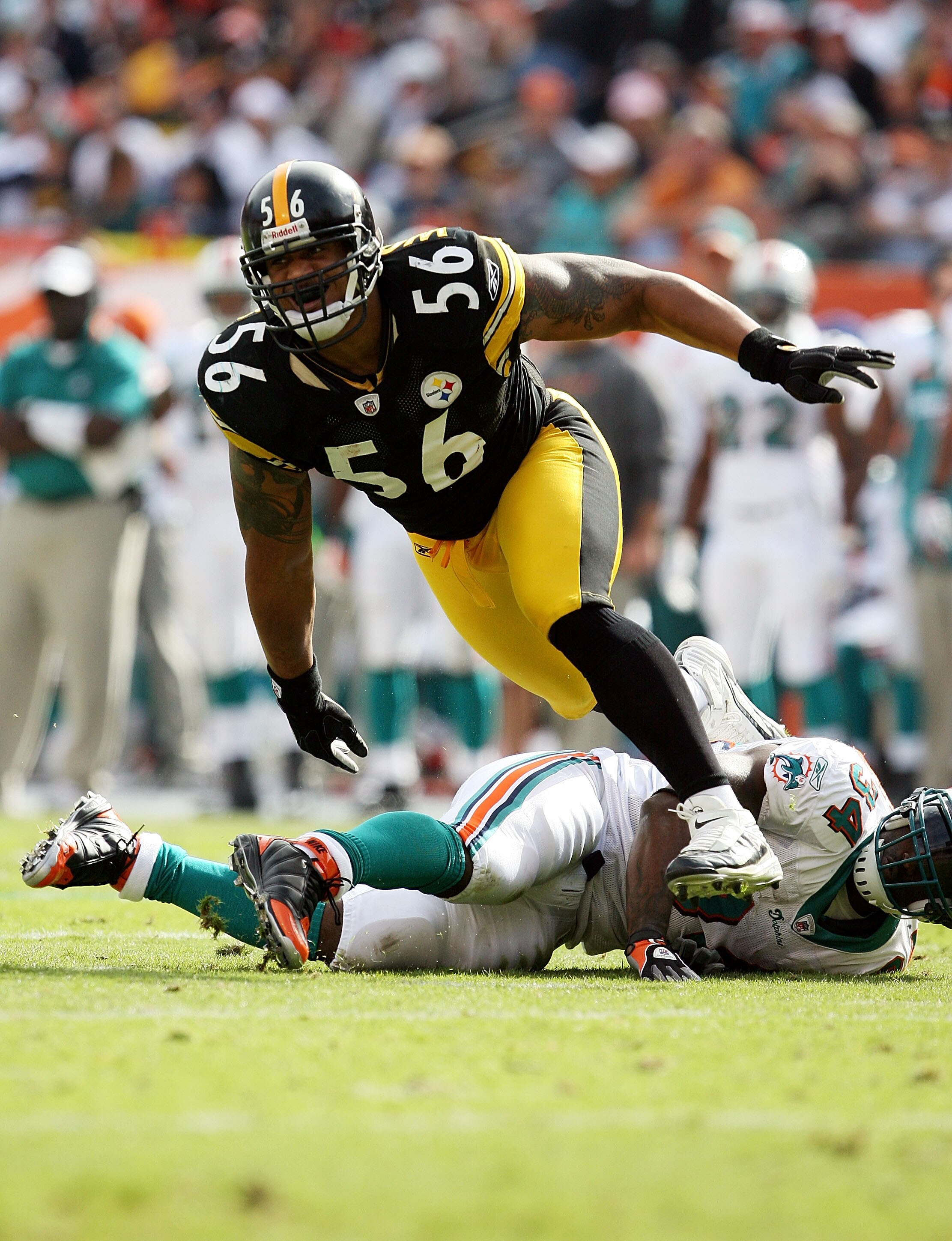 MIAMI - JANUARY 03:  Linebacker LaMarr Woodley #56 of the Pittsburgh Steelers tries to get into the backfield after running over running back Ricky Williams #34 of the Miami Dolphins at Land Shark Stadium on January 3, 2010 in Miami, Florida.  (Photo by D