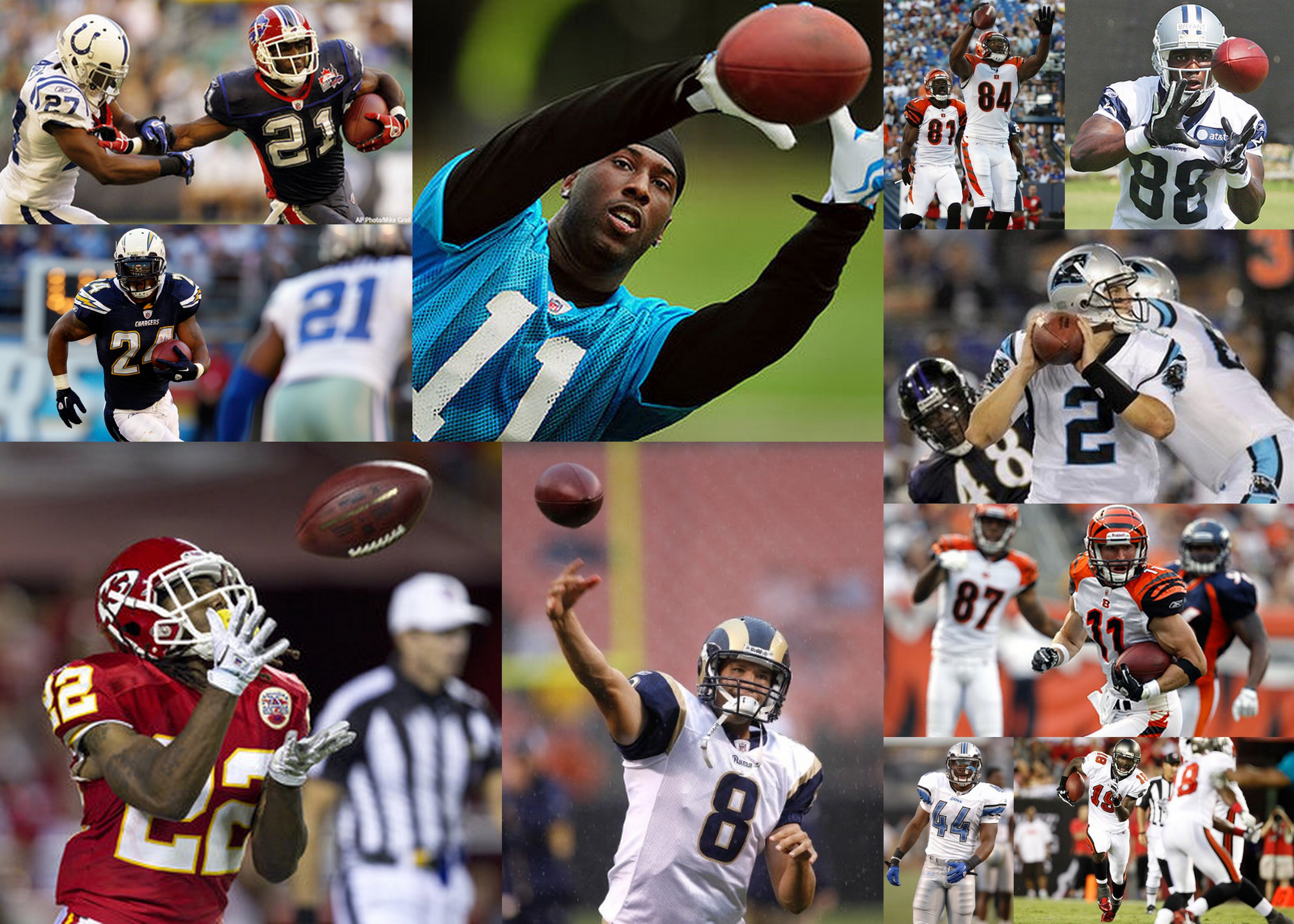 2010 NFL Top Rookies