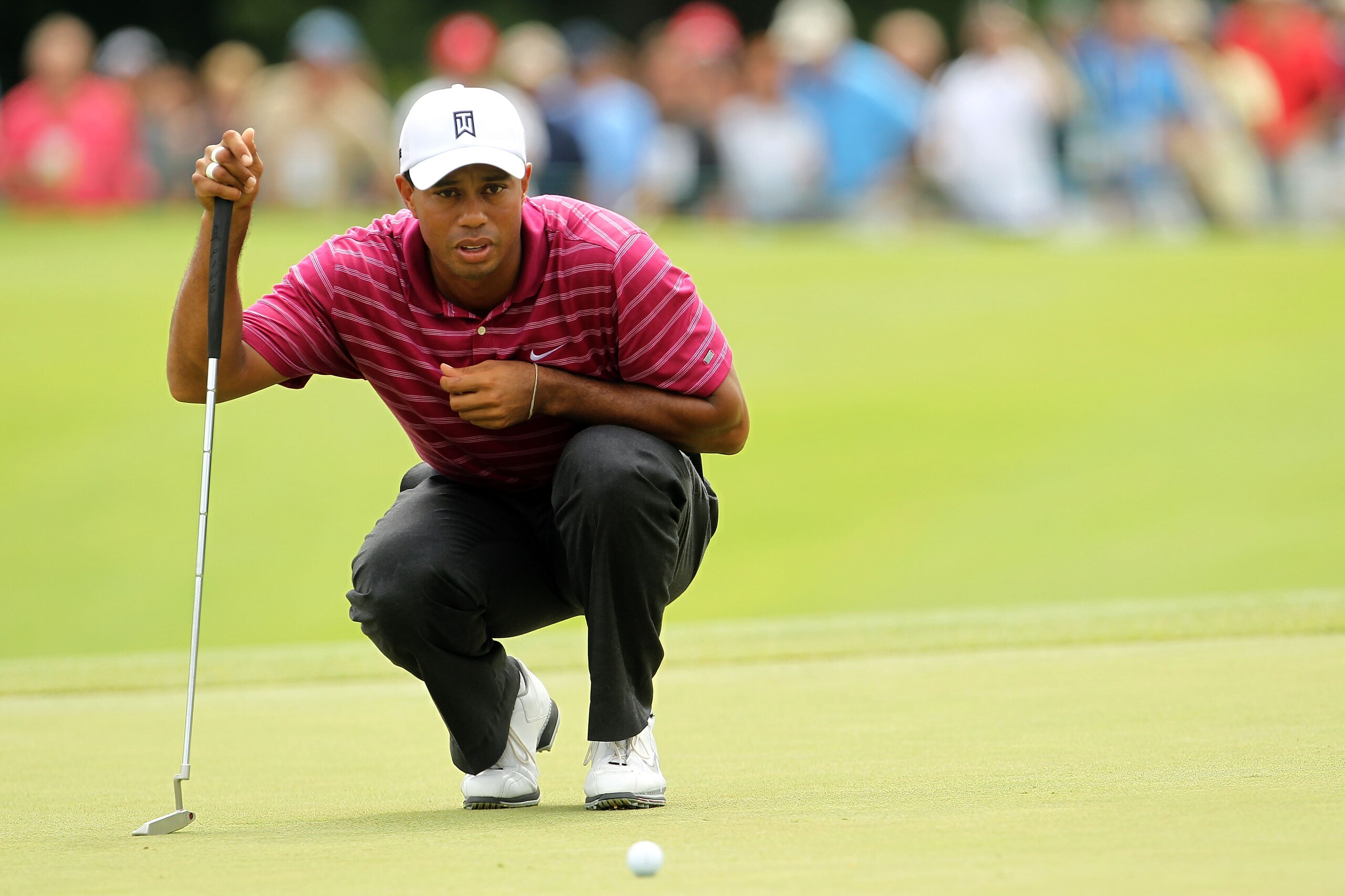 NORTON, MA - SEPTEMBER 03:  Tiger Woods lines up his putt on the 10th green during the first round of the Deutsche Bank Championship at TPC Boston on September 3, 2010 in Norton, Massachusetts.  (Photo by Mike Ehrmann/Getty Images)