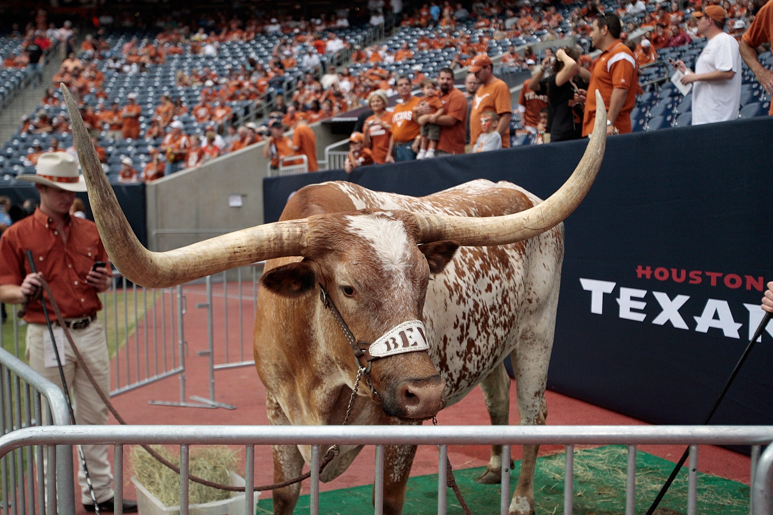 HOUSTON - SEPTEMBER 04:  BEVO looks on from the sidelines before the Texas Longhorns play the Rice Owls at Reliant Stadium on September 4, 2010 in Houston, Texas.  (Photo by Bob Levey/Getty Images)