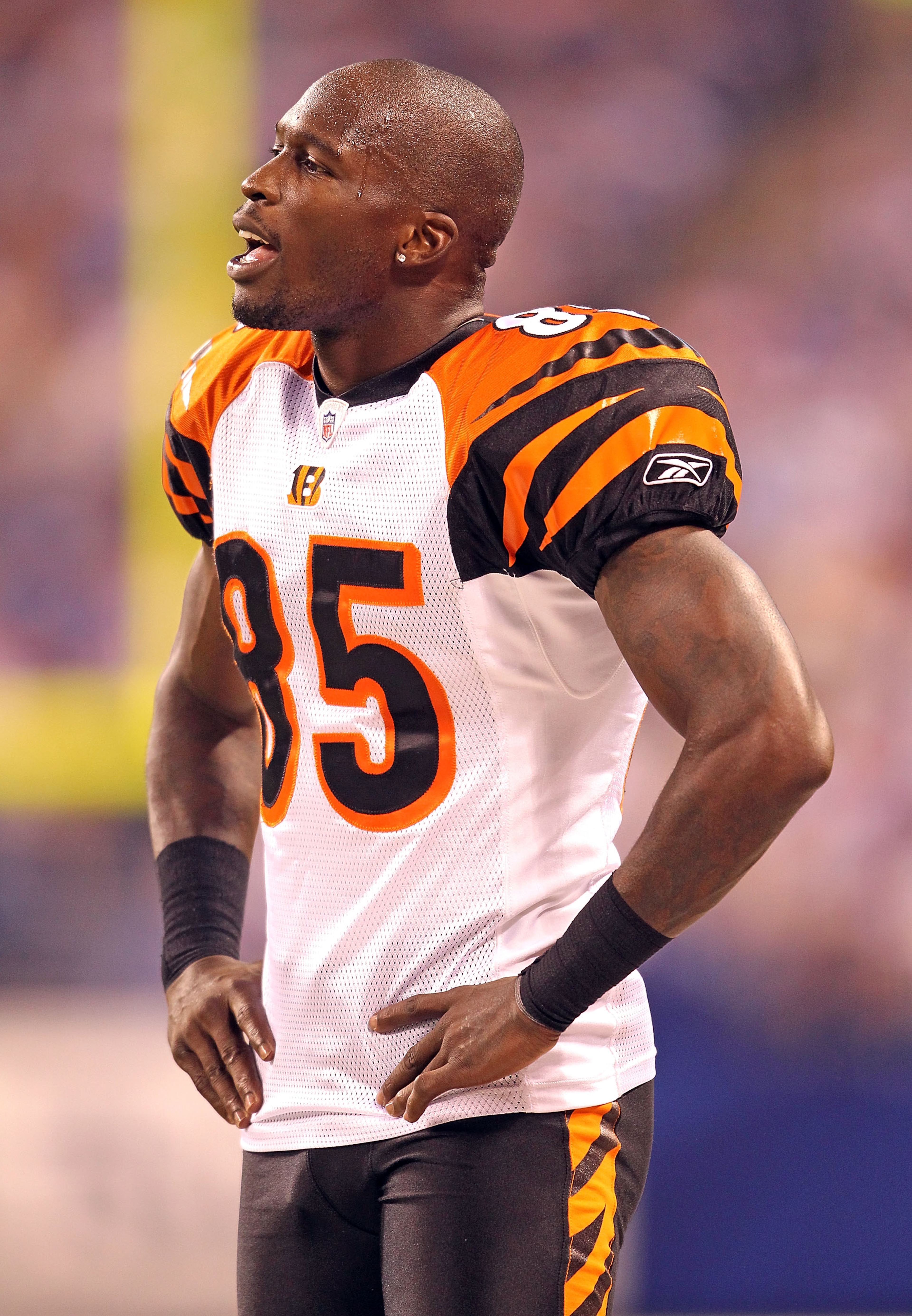 INDIANAPOLIS - SEPTEMBER 02:  Chad Ochocinco #85  of the Cincinnati Bengals talks with teammates during the NFL preseason game against the Indianapolis Colts at Lucas Oil Stadium on September 2, 2010 in Indianapolis, Indiana.  (Photo by Andy Lyons/Getty I