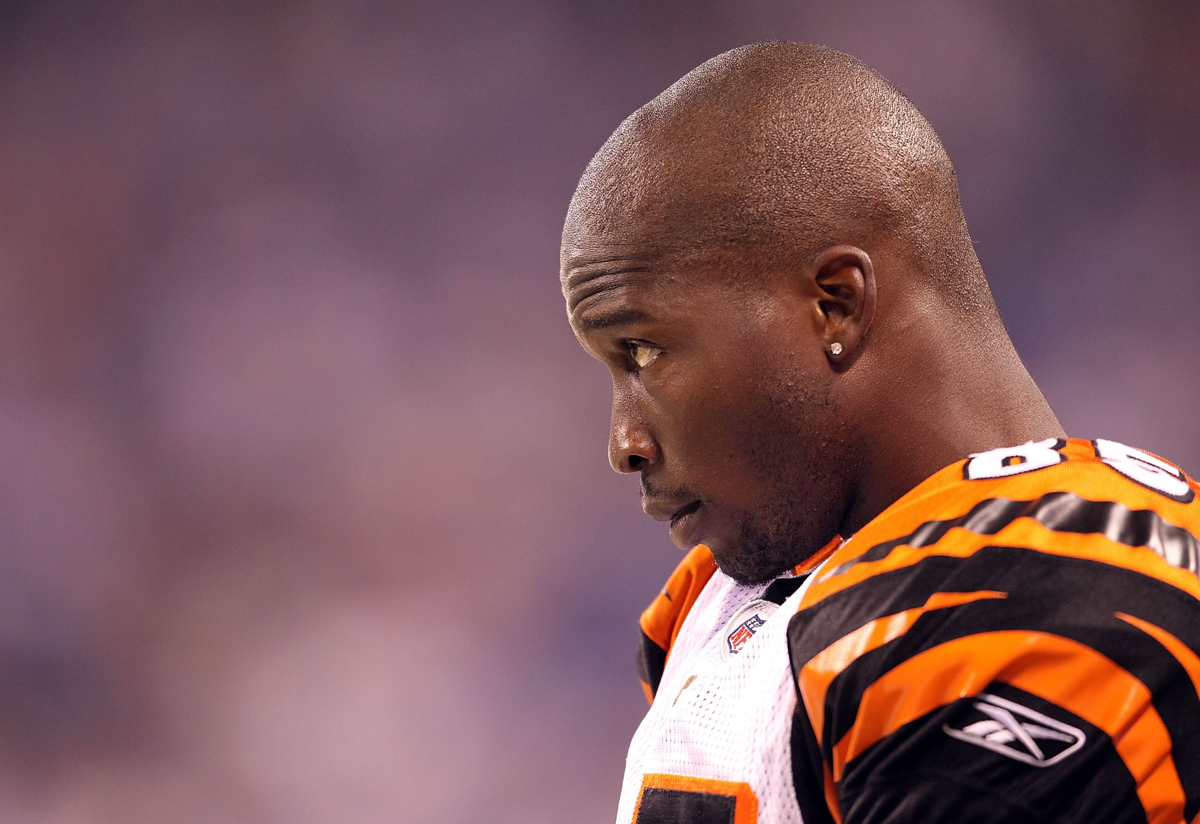 INDIANAPOLIS - SEPTEMBER 02:  Chad Ochocinco #85 of the Cincinnati Bengals watches from the sidelines during the NFL preseason game against the Indianapolis Colts at Lucas Oil Stadium on September 2, 2010 in Indianapolis, Indiana.  (Photo by Andy Lyons/Ge