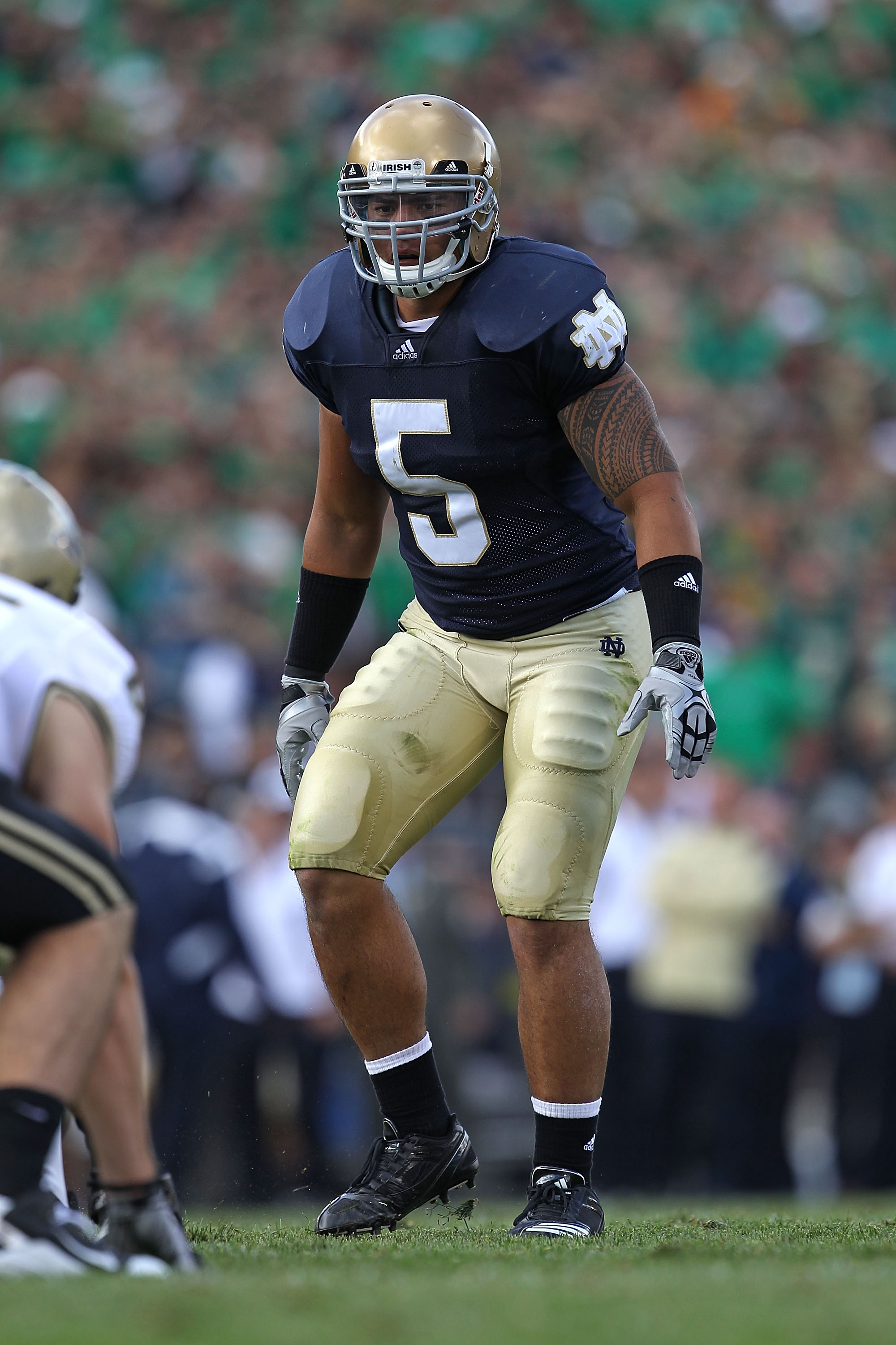 SOUTH BEND, IN - SEPTEMBER 04: Manti Te'o #5 of the Notre Dame Fighting Irish awaits the start of play against the Purdue Boilermakers at Notre Dame Stadium on September 4, 2010 in South Bend, Indiana. Notre Dame defeated Purdue 23-12. (Photo by Jonathan