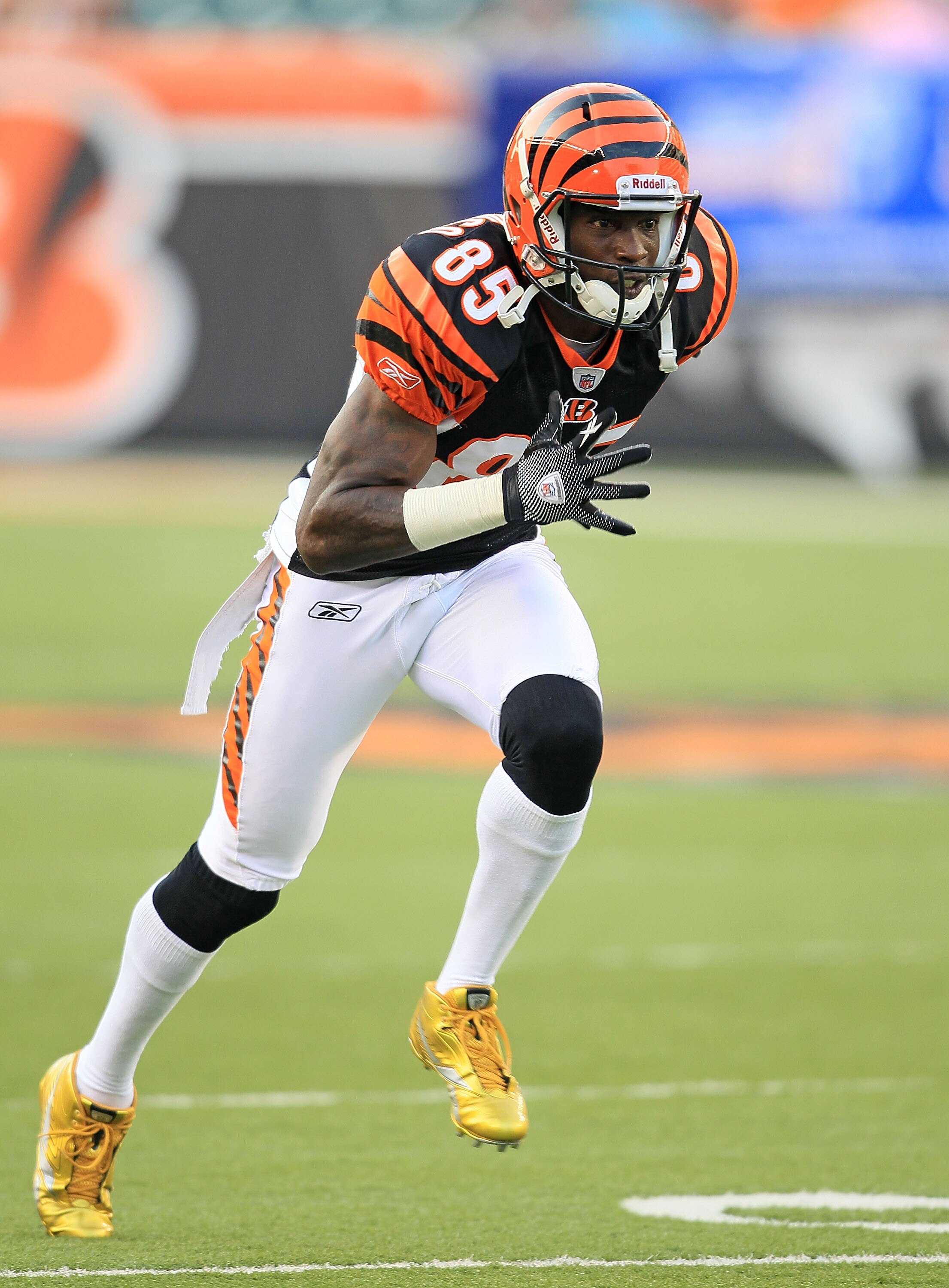 CINCINNATI - AUGUST 20:  Chad Ochocinco #85 of the Cincinnati Bengals is pictured before the NFL preseason game against the Philadelphia Eagles at Paul Brown Stadium on August 20, 2010 in Cincinnati, Ohio.  (Photo by Andy Lyons/Getty Images)