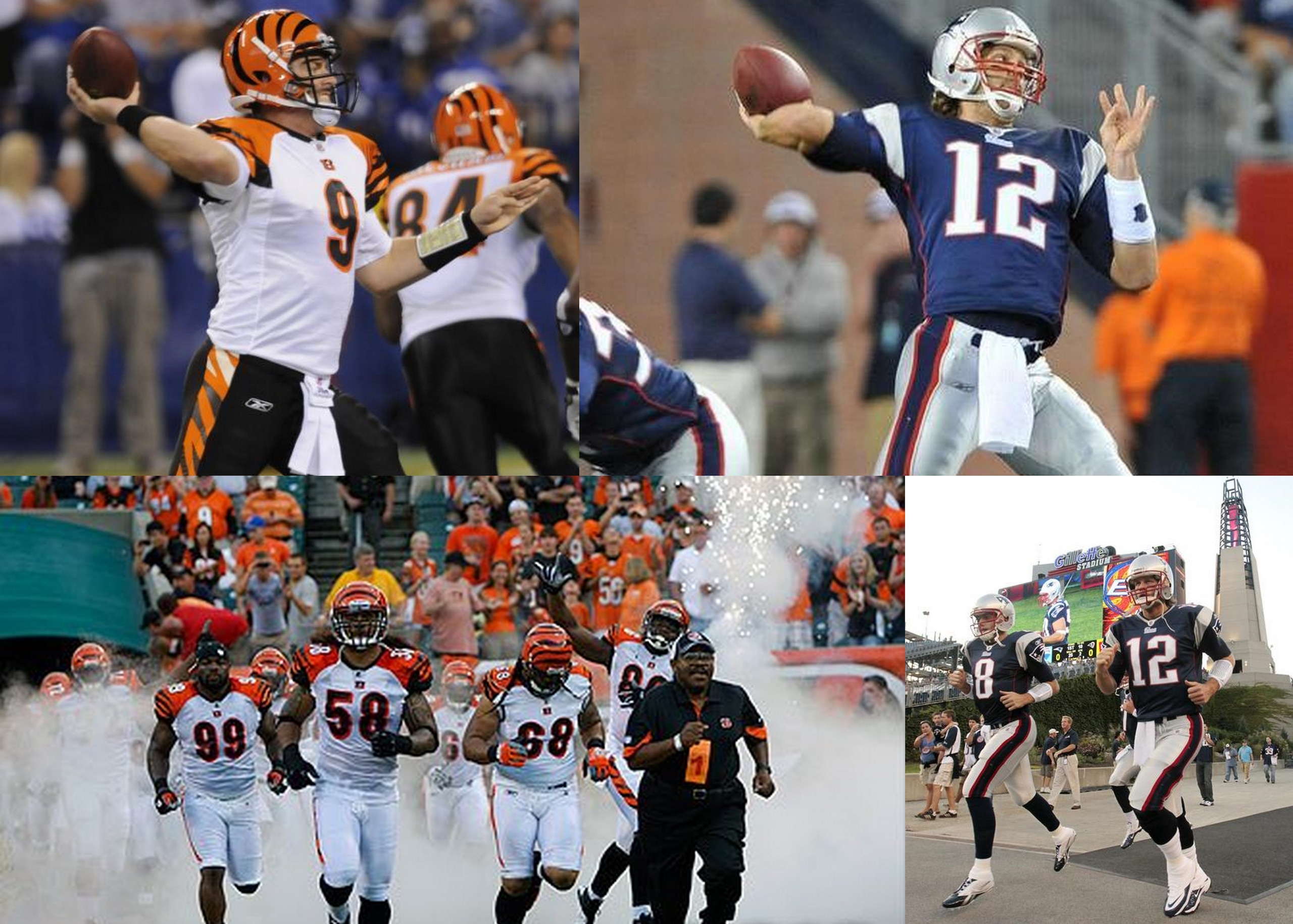 Bengals Patriots 2010