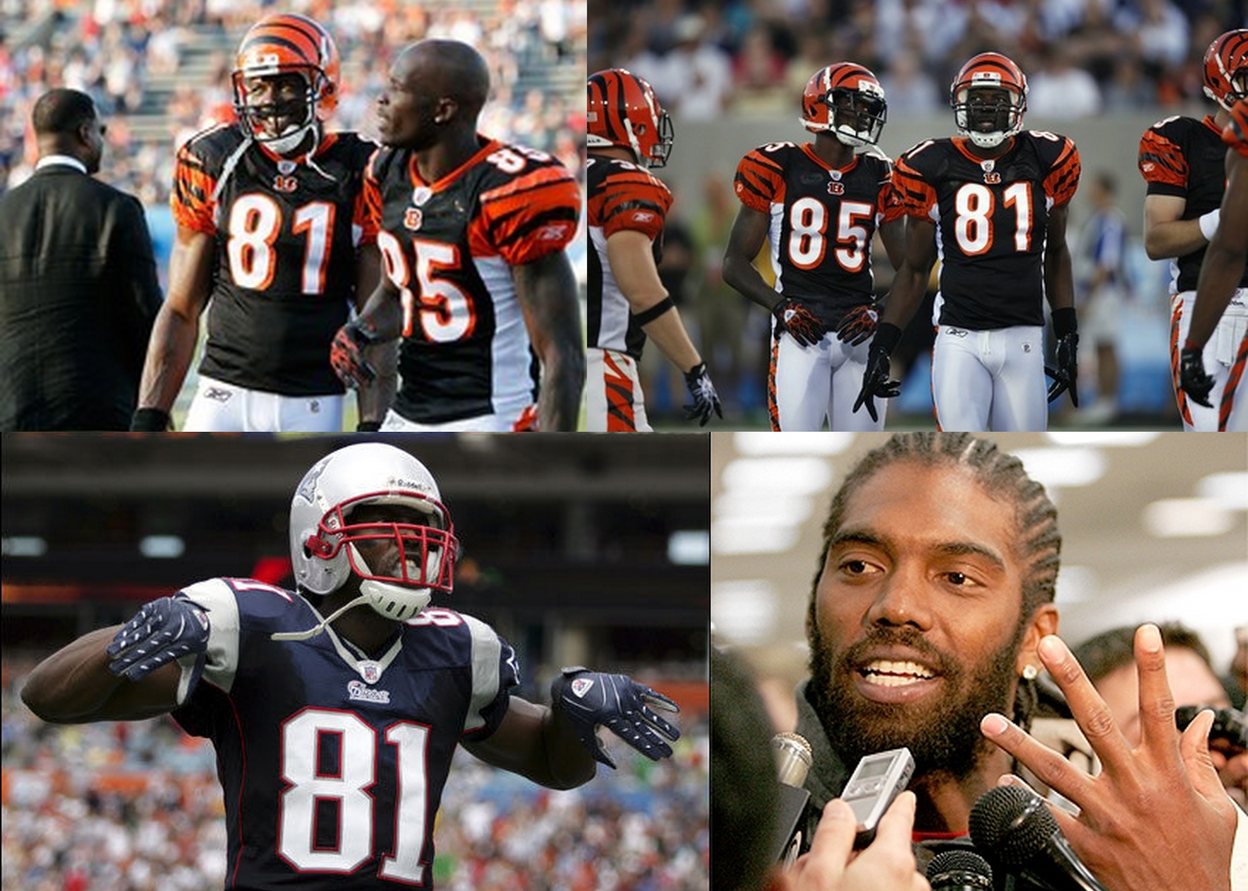 TO Ocho and Moss 2010