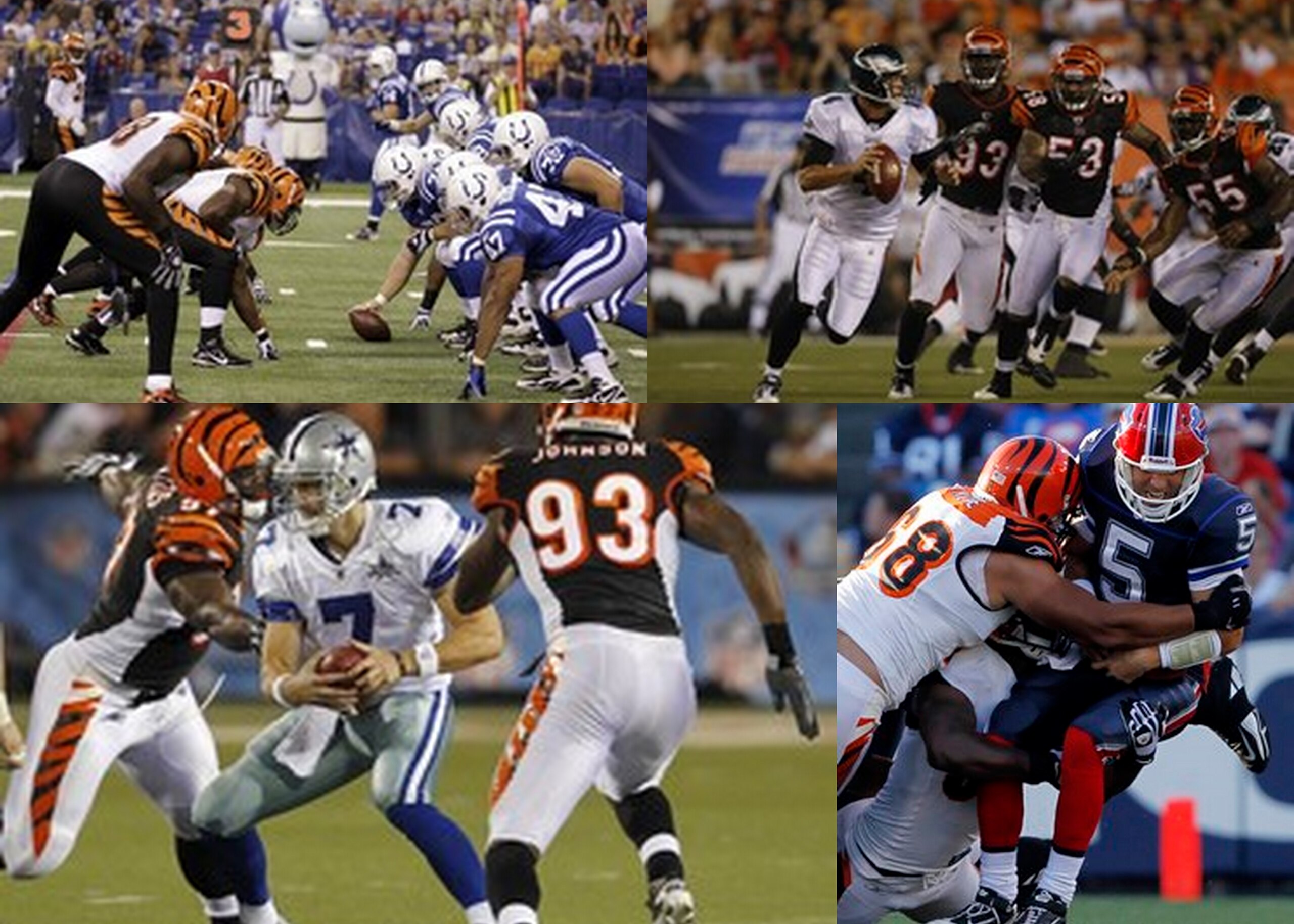 Bengals D  2010