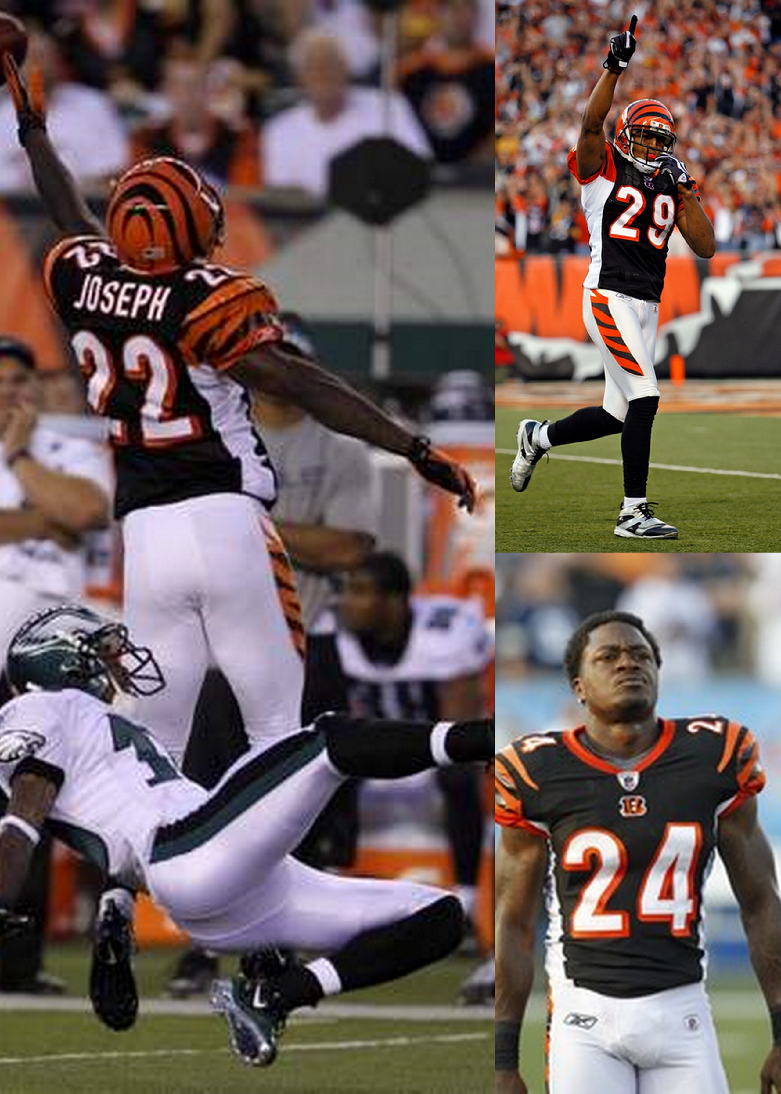 Bengals Secondary 2010