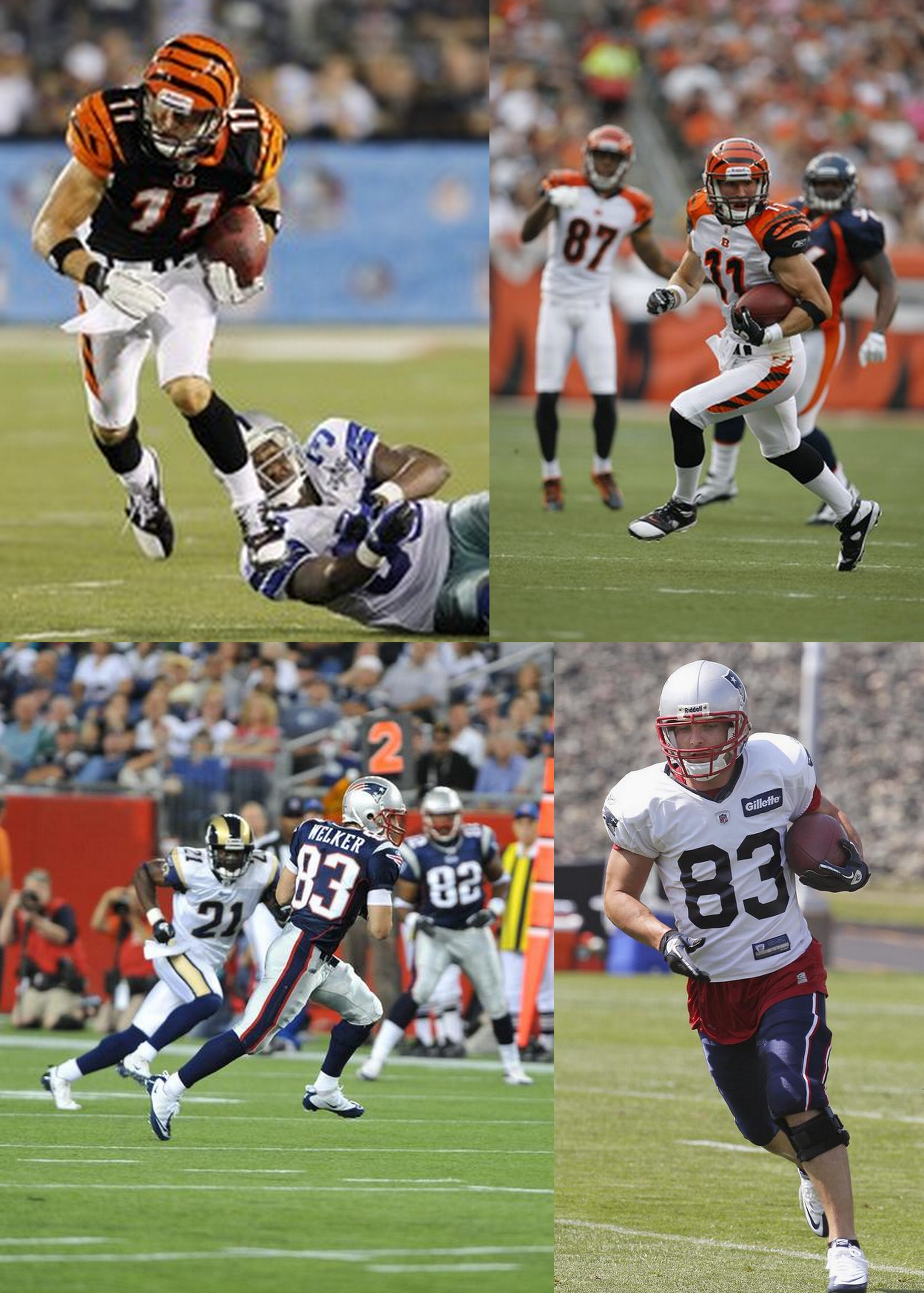Welker Shipley 2010