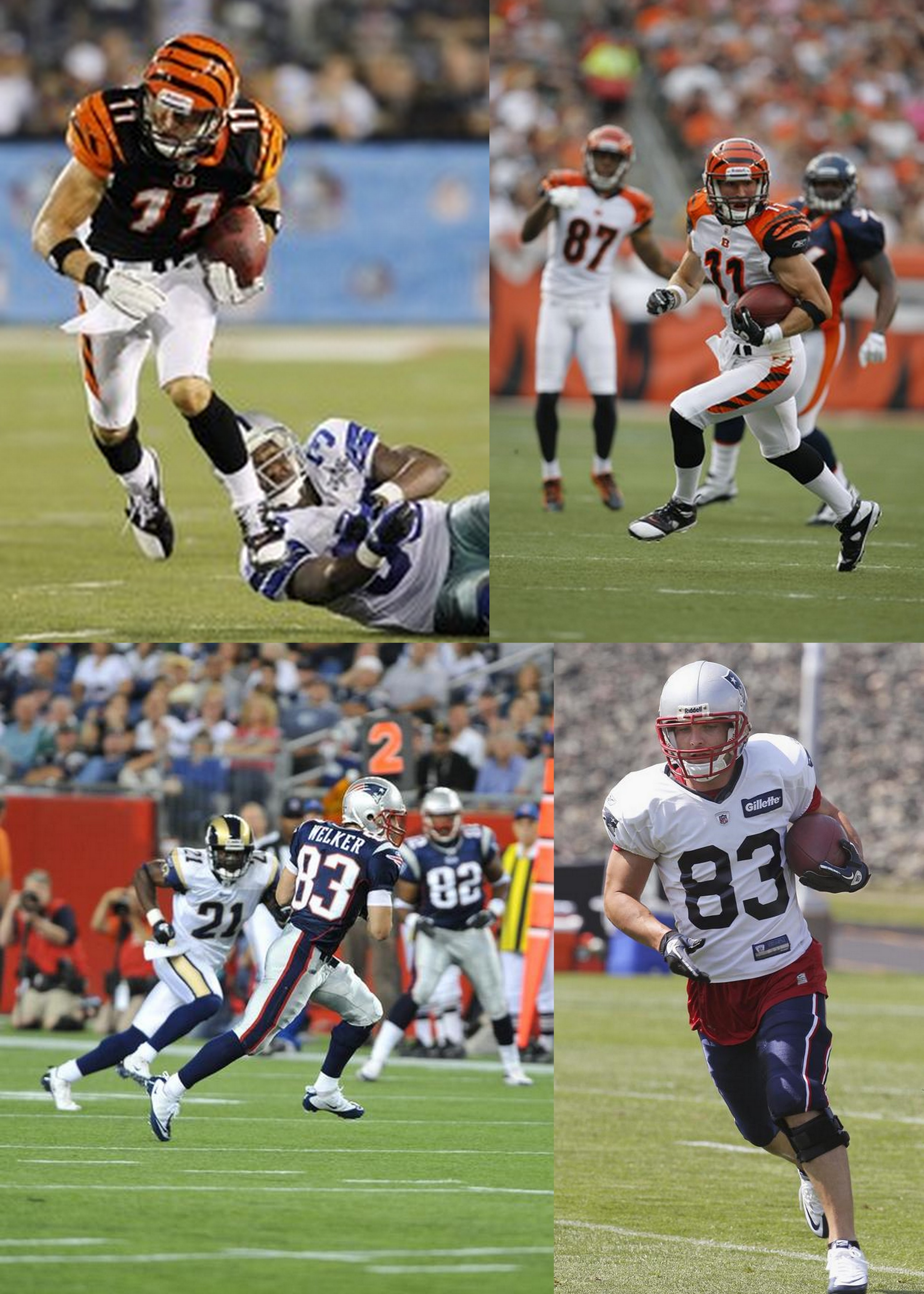 Welker Shipley 2010 Welker Shipley 2010