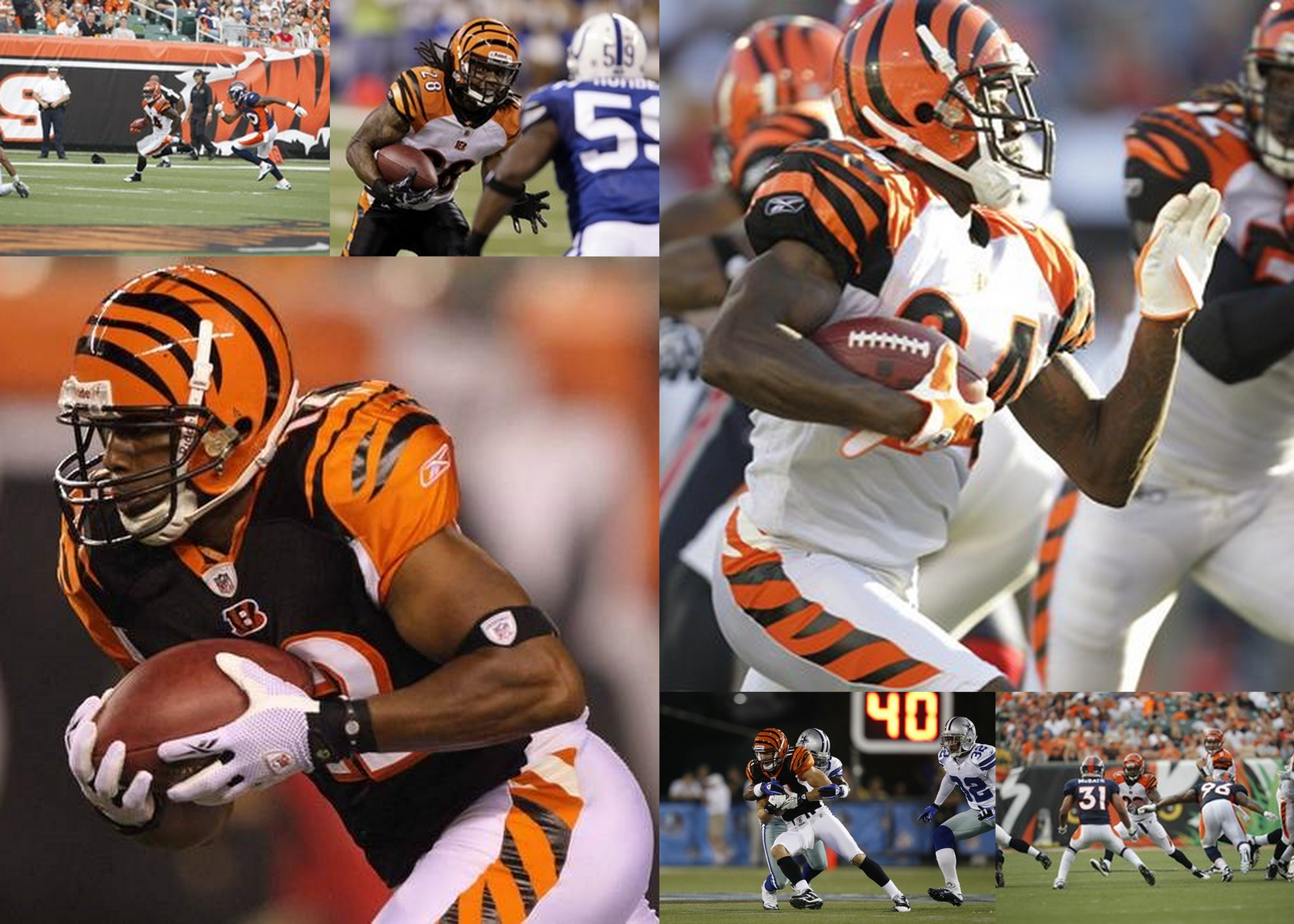 Bengals Punt and Kick Returns 2010 Bengals Punt and Kick Returns 2010