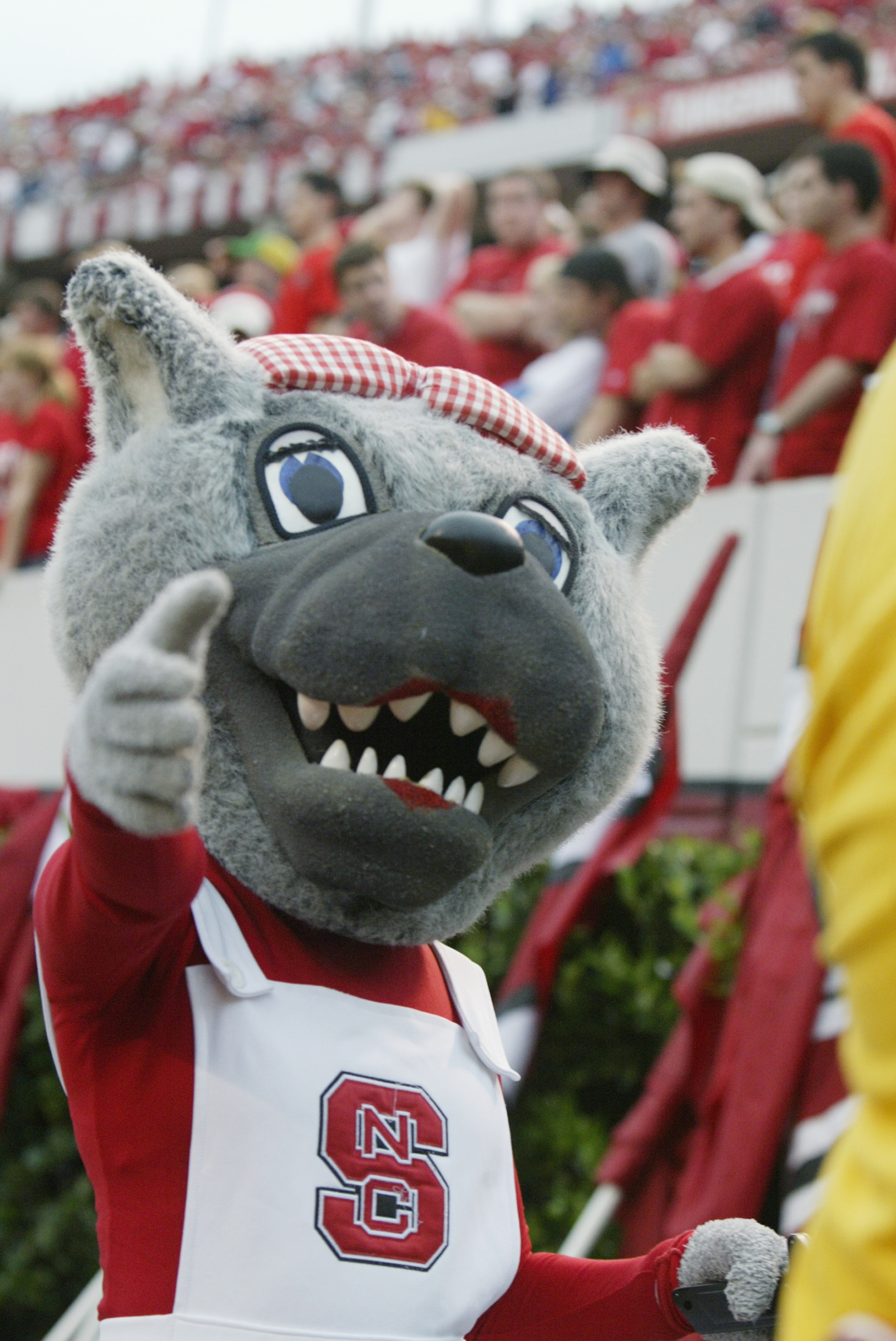 RALEIGH, NC - SEPTEMBER 18:  The North Carolina State Wolfpack mascot entertains the crowd during the game against the Ohio State Buckeyes on September 18, 2004 at Carter-Finley Stadium Stadium in Raleigh, North Carolina. (Photo by Grant Halverson/Getty I