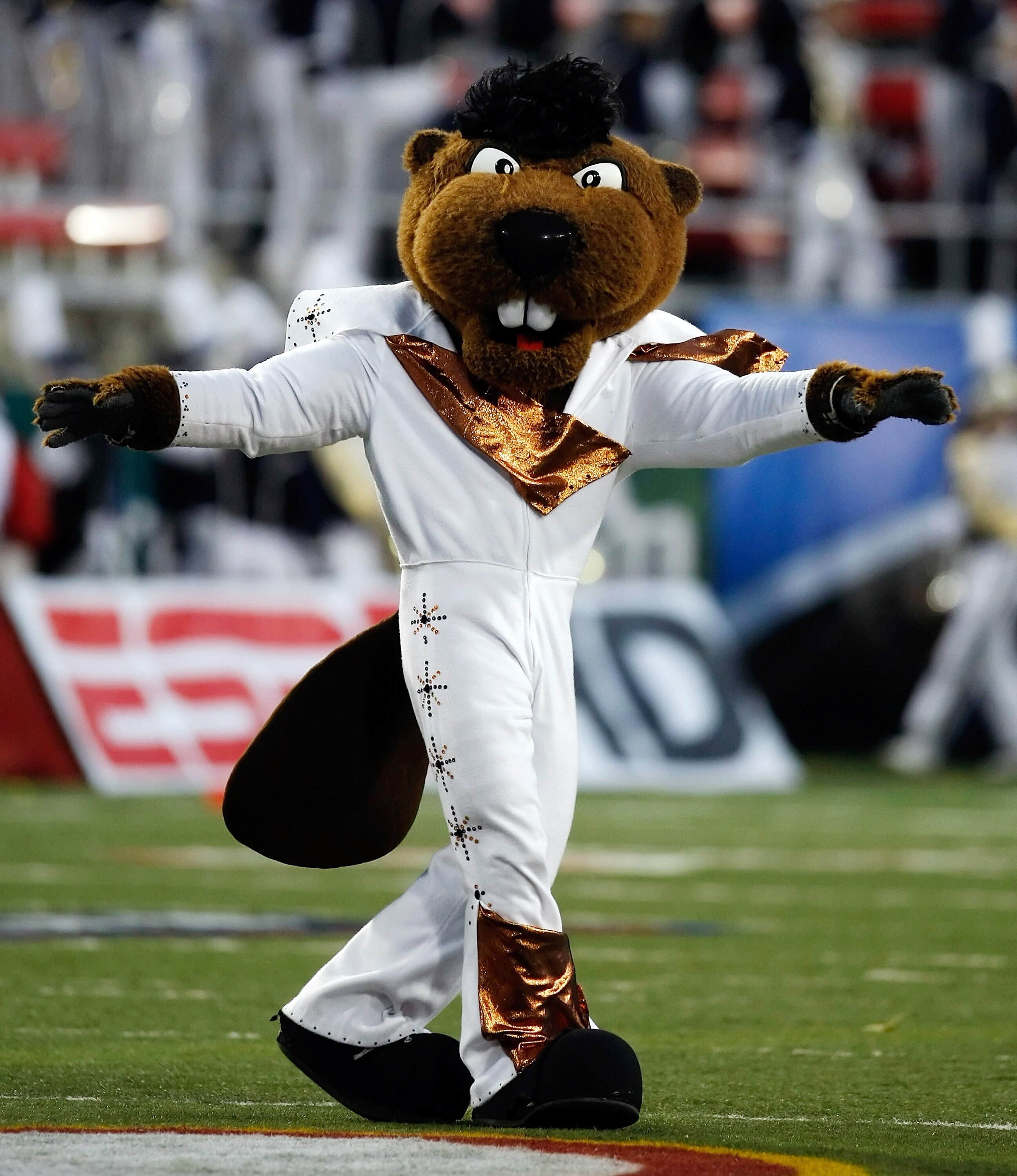 LAS VEGAS - DECEMBER 22:  Oregon State Beavers mascot Benny appears on the field in an Elvis Presley-inspired costume before the team's game against the Brigham Young University Cougars in the MAACO Las Vegas Bowl at Sam Boyd Stadium December 22, 2009 in