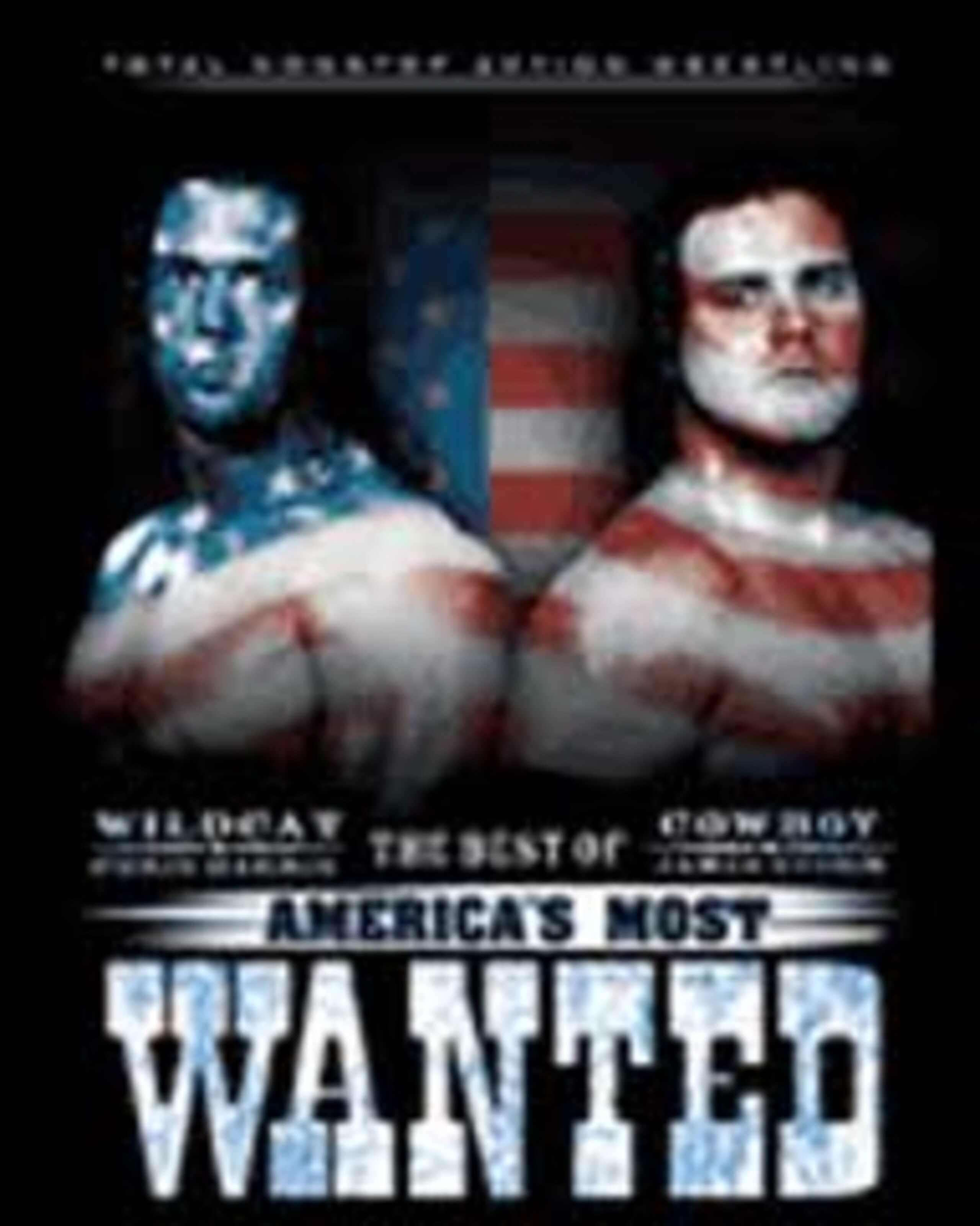 The best tag team of this decade.