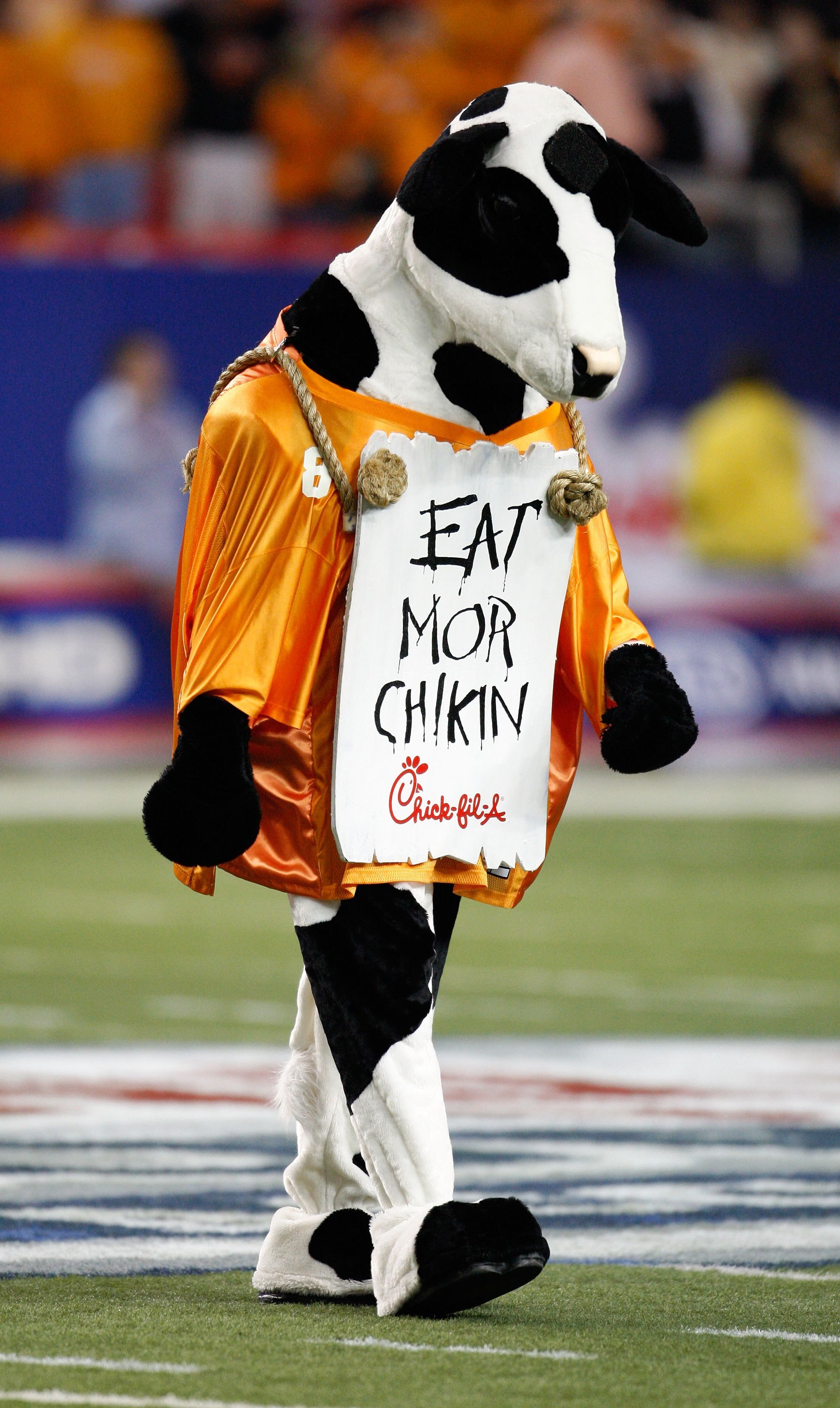 ATLANTA - DECEMBER 31:  The Chick-fil-A Cow wears a Tennessee Volunteers jersey and an 'Eat Mor Chikin' sign during the Chick-fil-A Bowl between the Tennessee Volunteers and the Virginia Tech Hokies at the Georgia Dome on December 31, 2009 in Atlanta, Geo