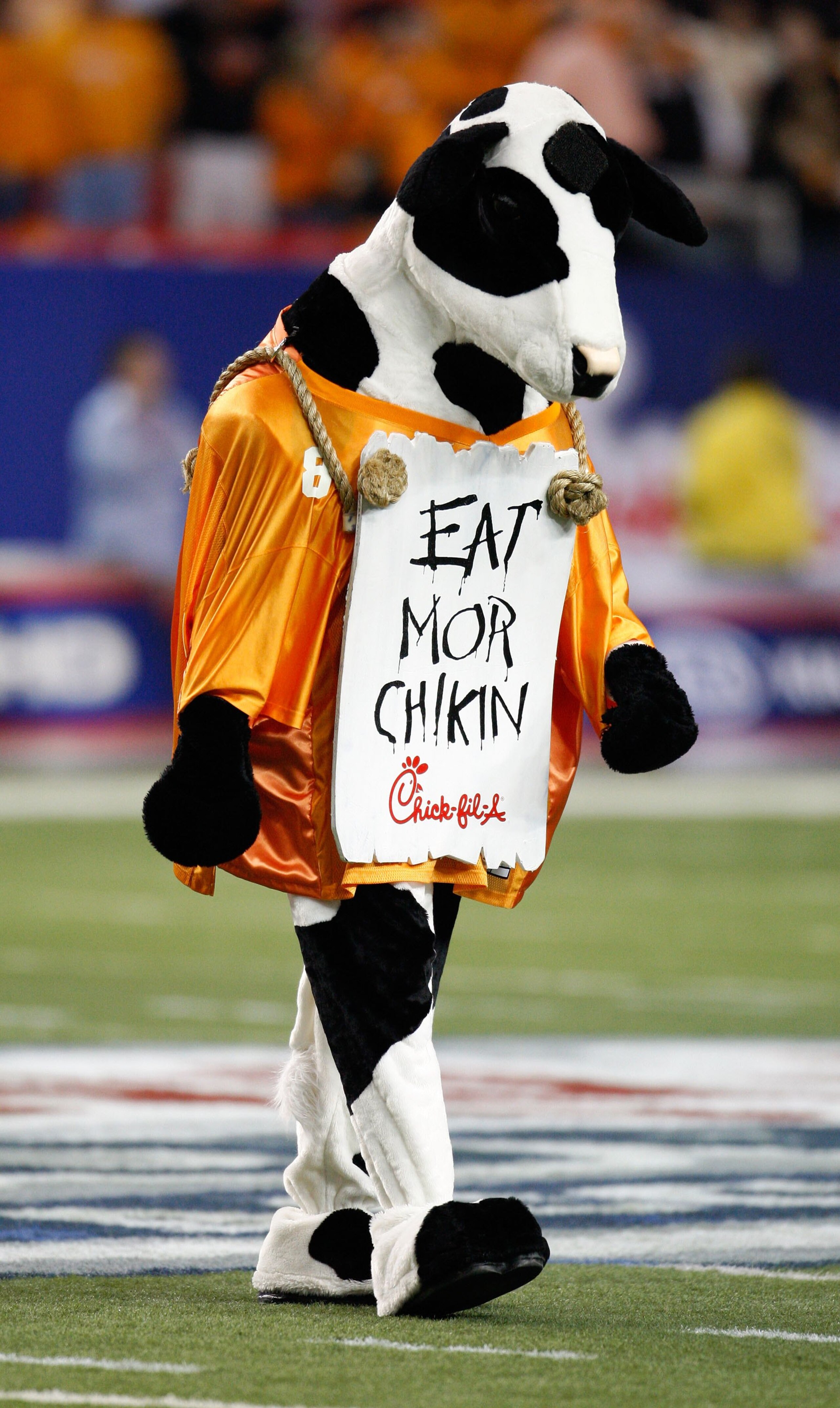 ATLANTA - DECEMBER 31:  The Chick-fil-A Cow wears a Tennessee Volunteers jersey and an 'Eat Mor Chikin' sign during the Chick-fil-A Bowl between the Tennessee Volunteers and the Virginia Tech Hokies at the Georgia Dome on December 31, 2009 in Atlanta, Geo