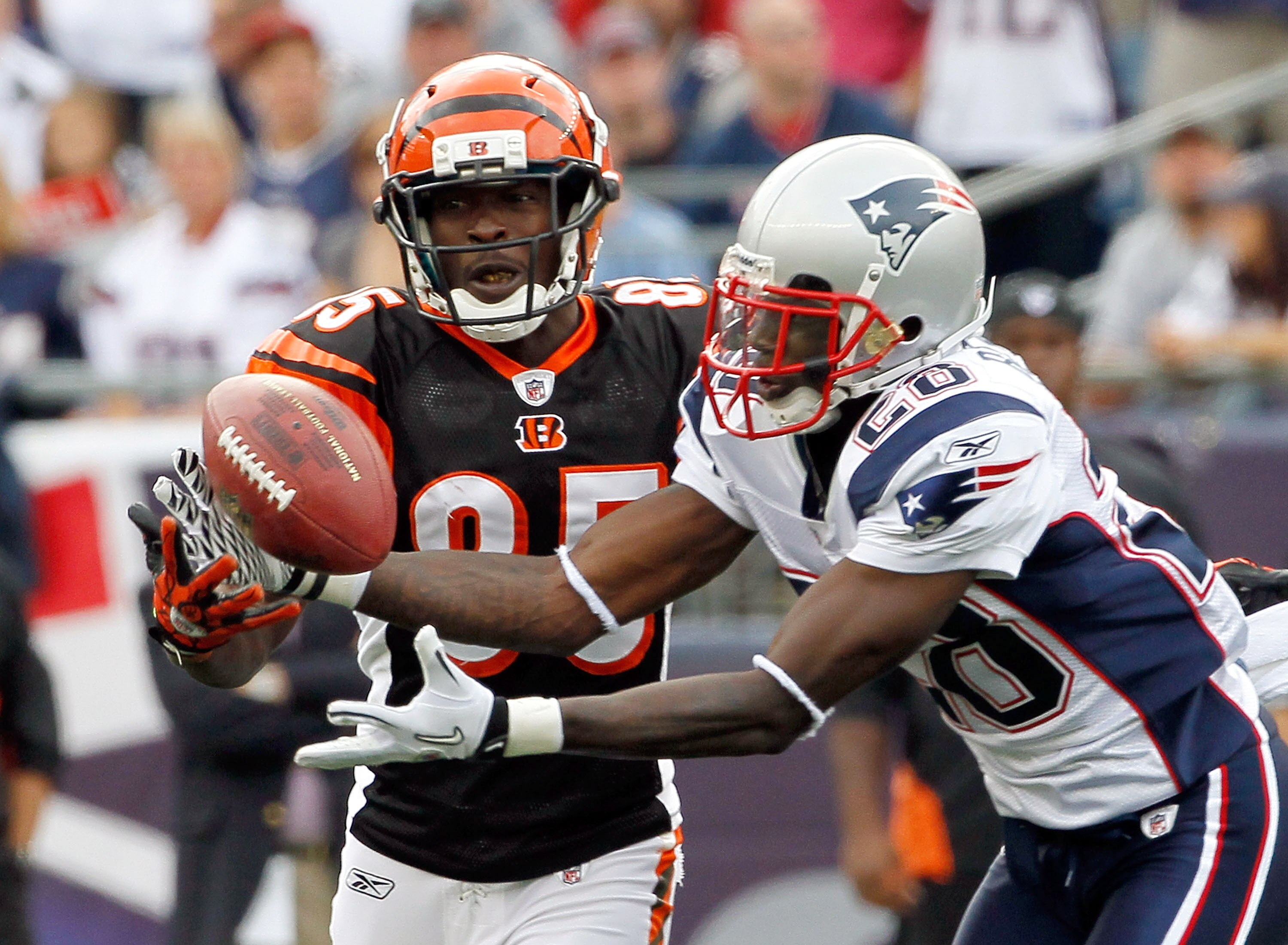 FOXBORO, MA - SEPTEMBER 12:  Darius Butler #28 of the New England Patriots breaks up a pass intended for Chad Ochocinco #85 of the Cincinnati Bengals during the NFL season opener  at Gillette Stadium on September 12, 2010 in Foxboro, Massachusetts. (Jim R