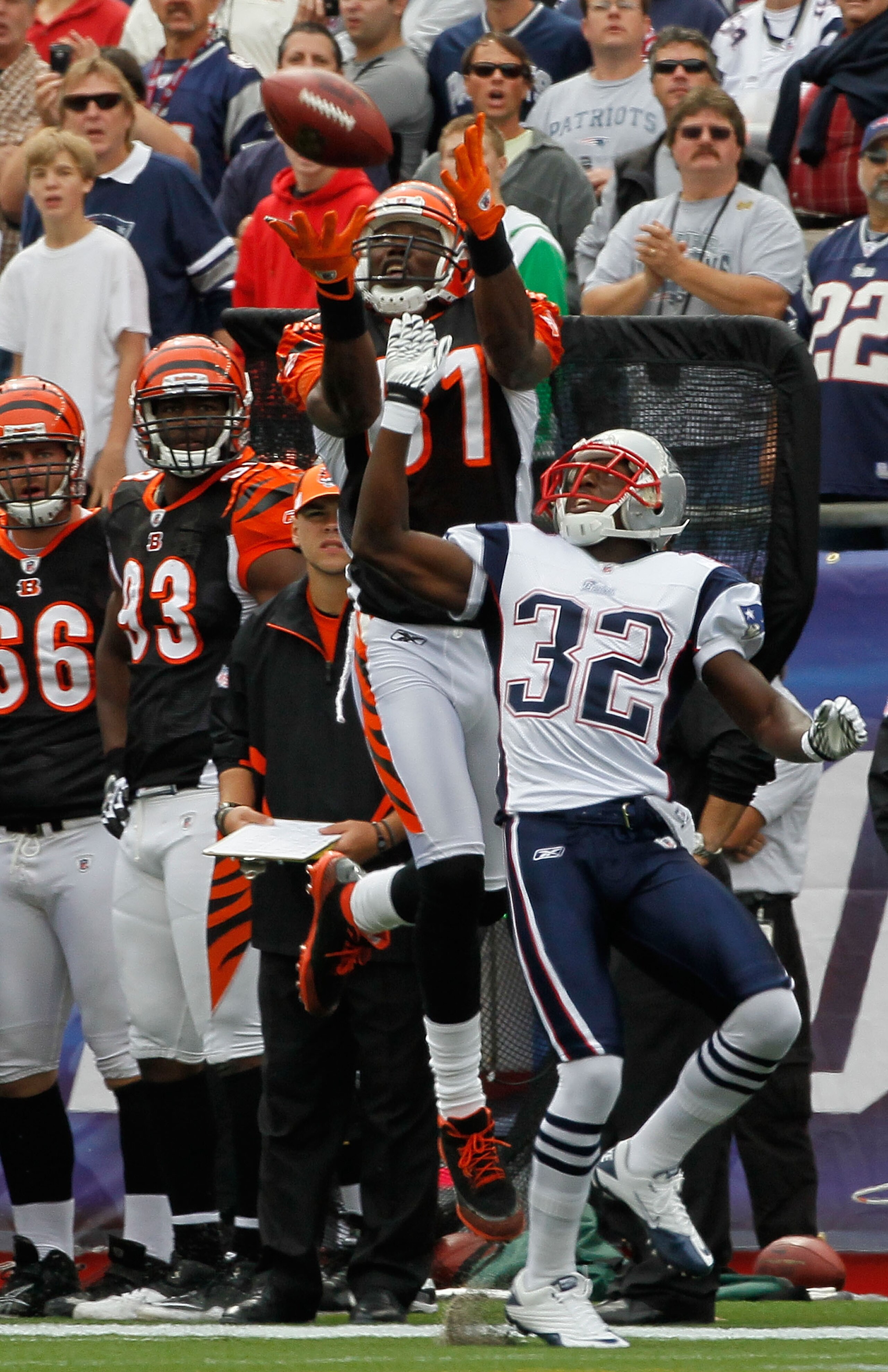 FOXBORO, MA - SEPTEMBER 12:  Terrell Owens #81 of the Cincinnati Bengals is unable to hold on to a pass against the defense of Devin McCarthy #32 of the New England Patriots during the NFL season opener  at Gillette Stadium on September 12, 2010 in Foxbor