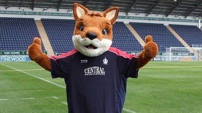 That's a fox?! It looks like a kangaroo!