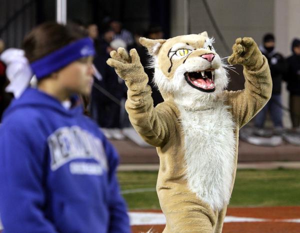 The Meridian Wildcats' mascot was stolen on accident.