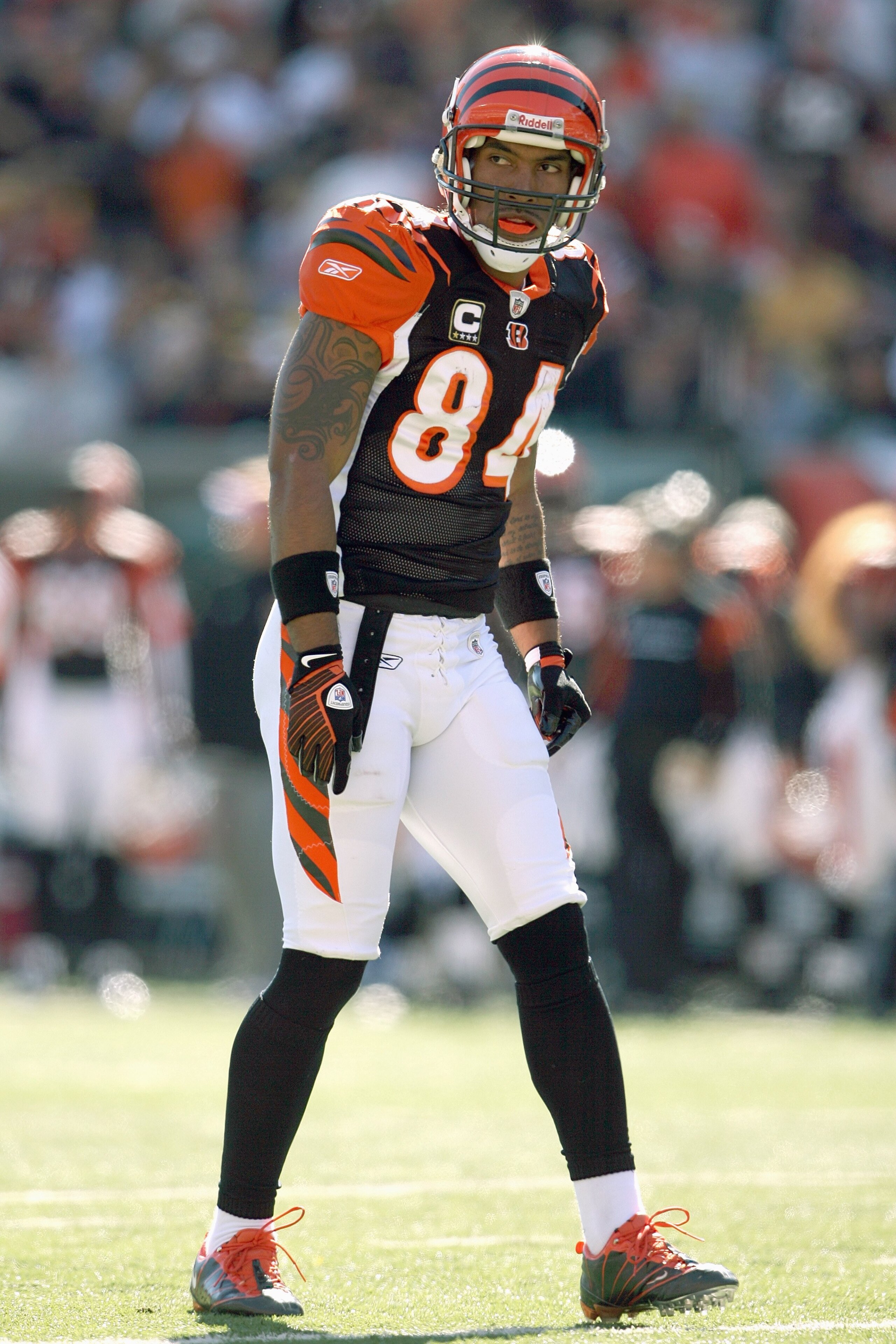 CINCINNATI - OCTOBER 19:  T.J. Houshmandzadeh #84 of the Cincinnati Bengals gets ready on the field during the NFL game against the Pittsburgh Steelers at Paul Brown Stadium on October 19, 2008 in Cincinnati, Ohio.  (Photo by Andy Lyons/Getty Images)