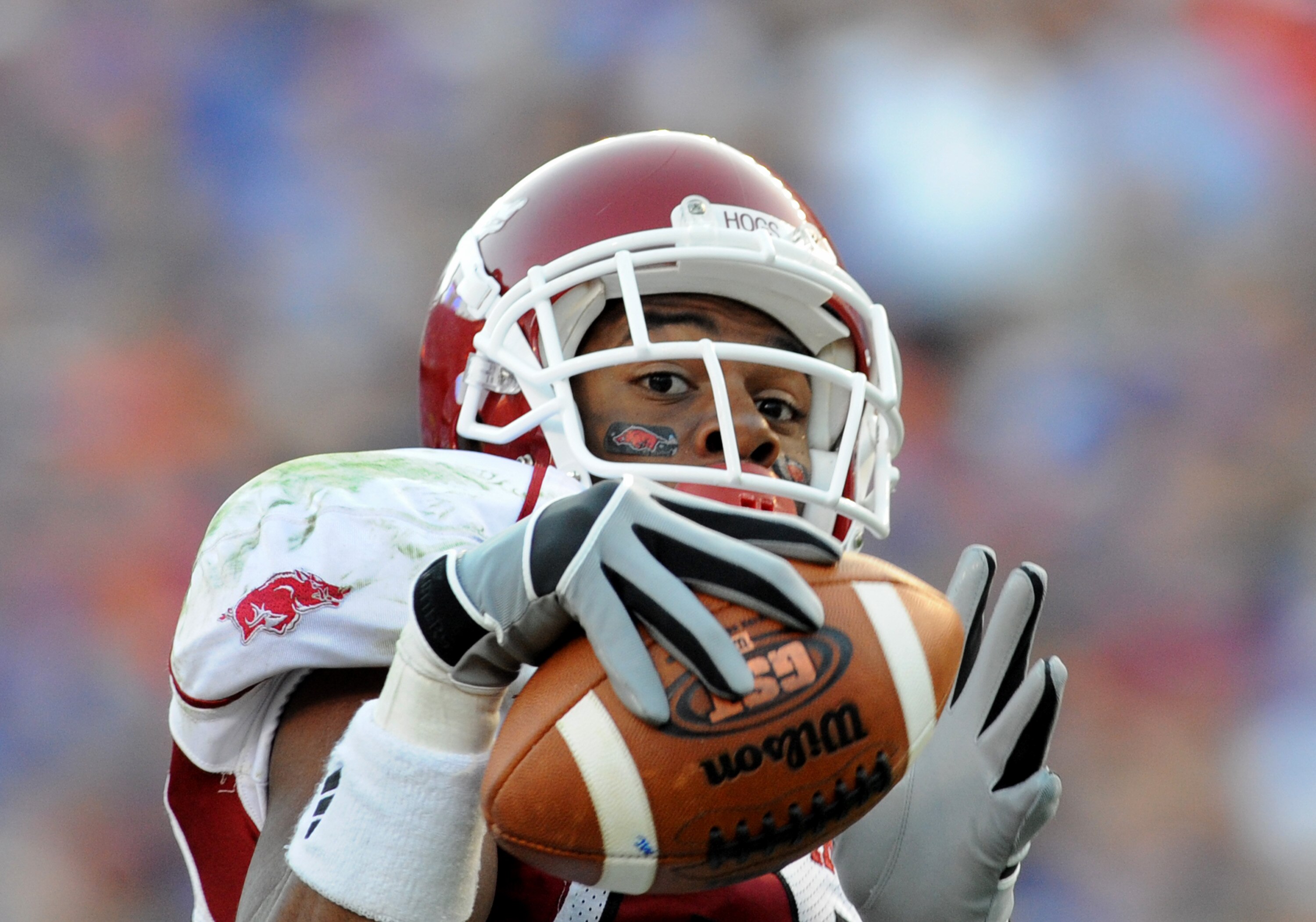 GAINESVILLE, FL - OCTOBER 17: Wide receiver Greg Childs #85 of the Arkansas Razorbacks grabs a pass for a touchdown against the Florida Gators October 17, 2009 at Ben Hill Griffin Stadium in Gainesville, Florida.  (Photo by Al Messerschmidt/Getty Images)
