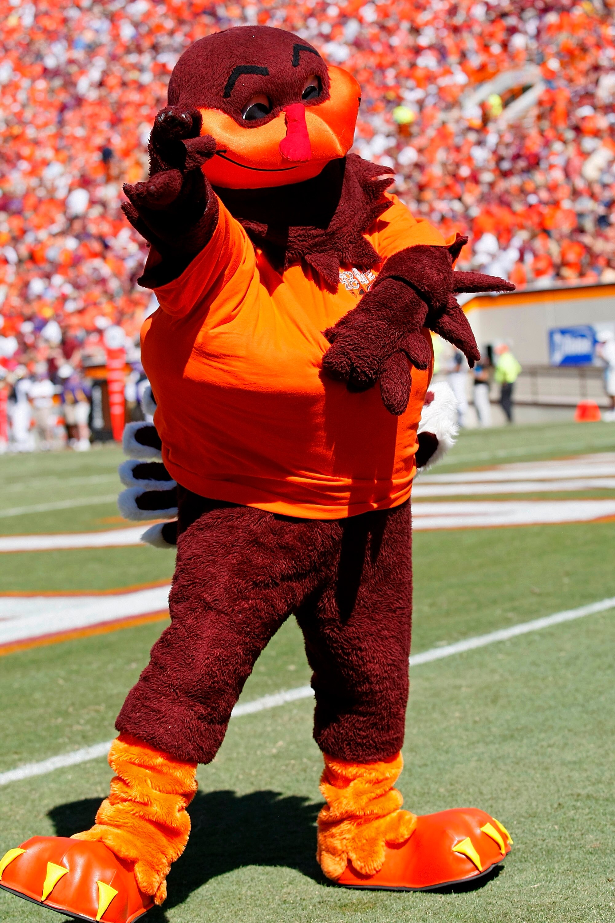 BLACKSBURG, VA - SEPTEMBER 18: The Virginia Tech Hokies mascot performs against the East Carolina Pirates at Lane Stadium on September 18, 2010 in Blacksburg, Virginia.  (Photo by Geoff Burke/Getty Images)