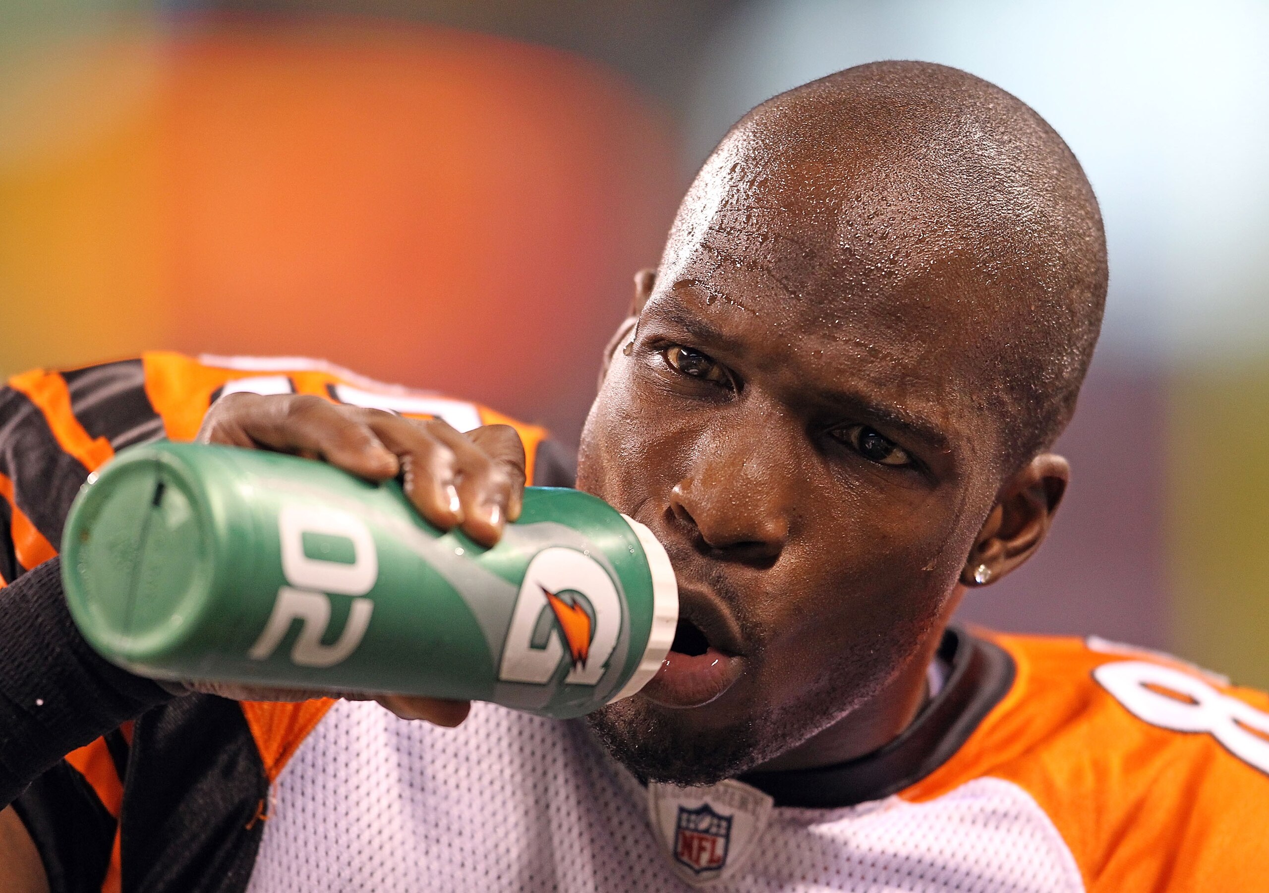 INDIANAPOLIS - SEPTEMBER 02:  Chad Ochocinco #85 of the Cincinnati Bengals watches from the sidelines during the NFL preseason game against the Indianapolis Colts at Lucas Oil Stadium on September 2, 2010 in Indianapolis, Indiana.  (Photo by Andy Lyons/Ge