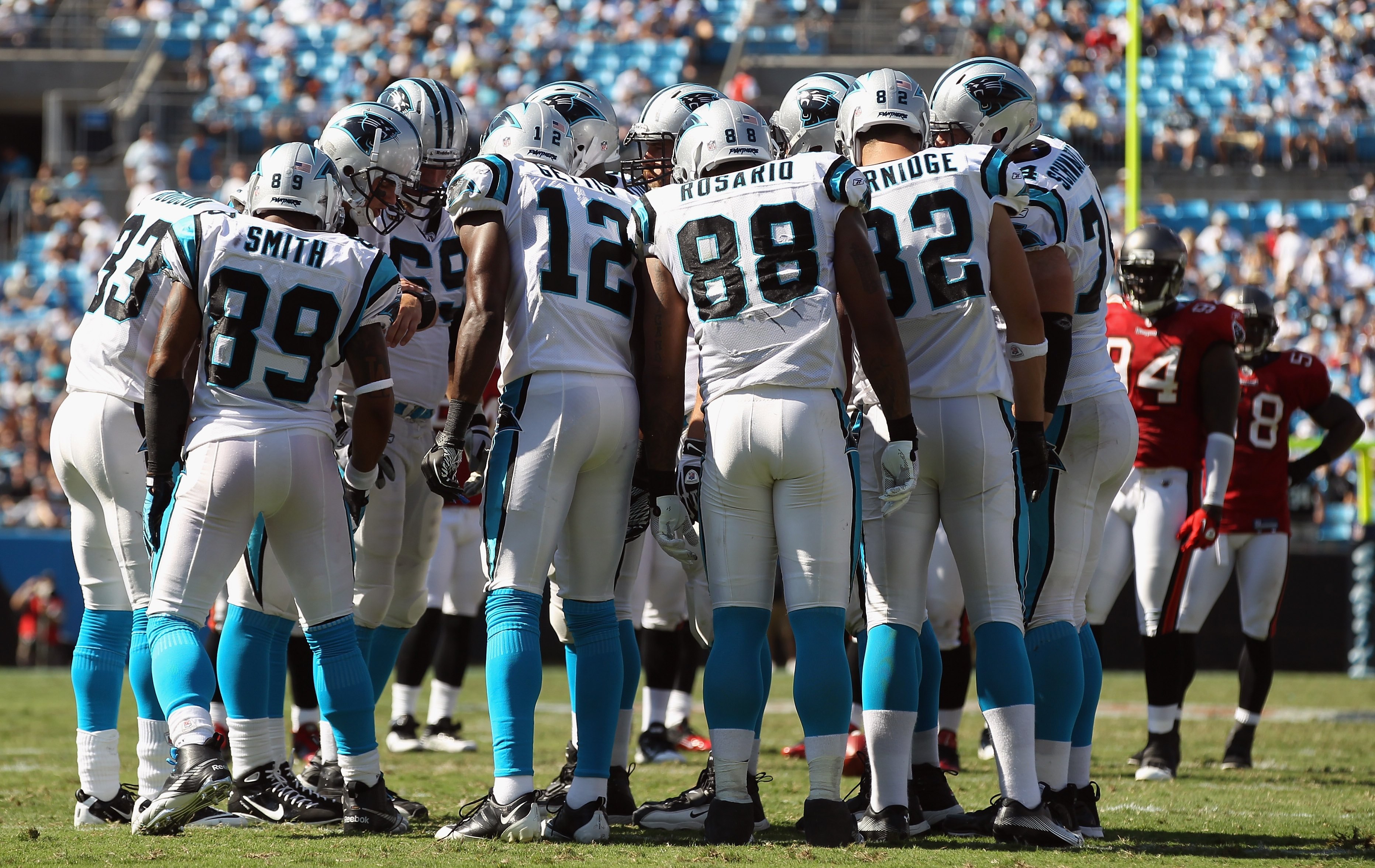 CHARLOTTE, NC - SEPTEMBER 19:  Jimmy Clausen #2 of the Carolina Panthers against the Tampa Bay Buccaneers during their game at Bank of America Stadium on September 19, 2010 in Charlotte, North Carolina.  (Photo by Streeter Lecka/Getty Images)
