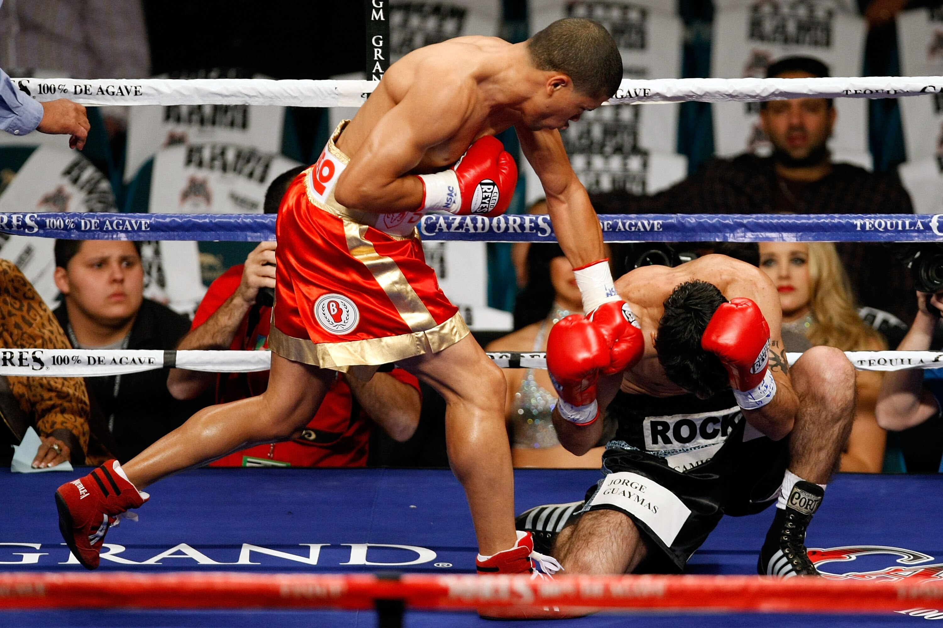 LAS VEGAS - DECEMBER 06:  (L-R) Juan Manuel Lopez of Puerto Rico connects a left to the head of Sergio Medina of Argentina during their WBO junior featherweight title fight at the MGM Grand Garden Arena December 6, 2008 in Las Vegas, Nevada.  (Photo by Et