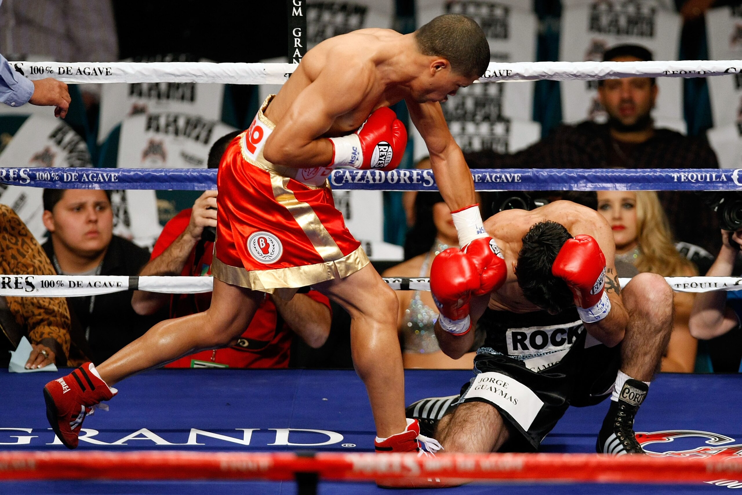 LAS VEGAS - DECEMBER 06:  (L-R) Juan Manuel Lopez of Puerto Rico connects a left to the head of Sergio Medina of Argentina during their WBO junior featherweight title fight at the MGM Grand Garden Arena December 6, 2008 in Las Vegas, Nevada.  (Photo by Et