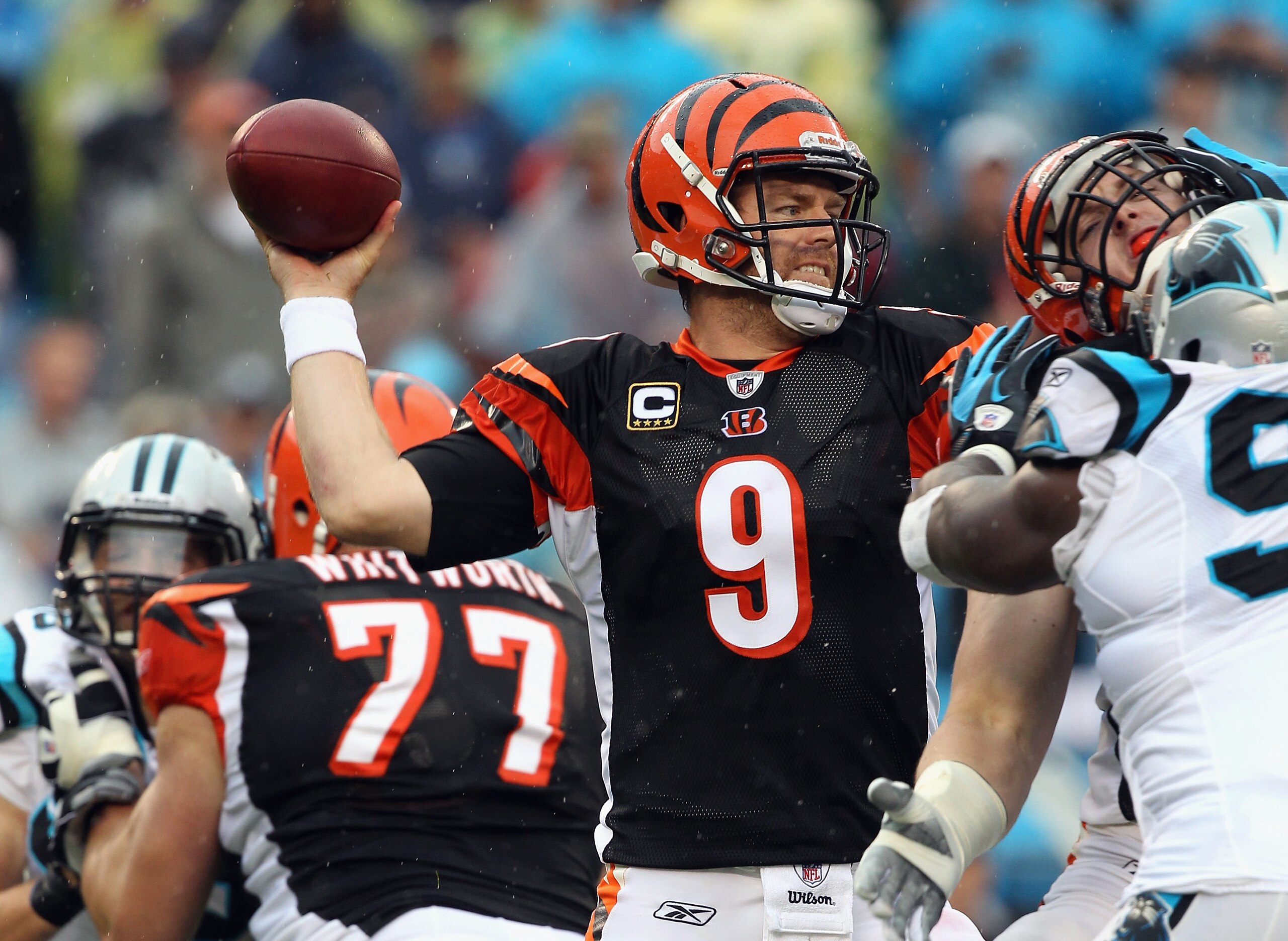 CHARLOTTE, NC - SEPTEMBER 26:  Carson Palmer #9 of the Cincinnati Bengals drops back to throw a pass against the Carolina Panthers during their game at Bank of America Stadium on September 26, 2010 in Charlotte, North Carolina.  (Photo by Streeter Lecka/G