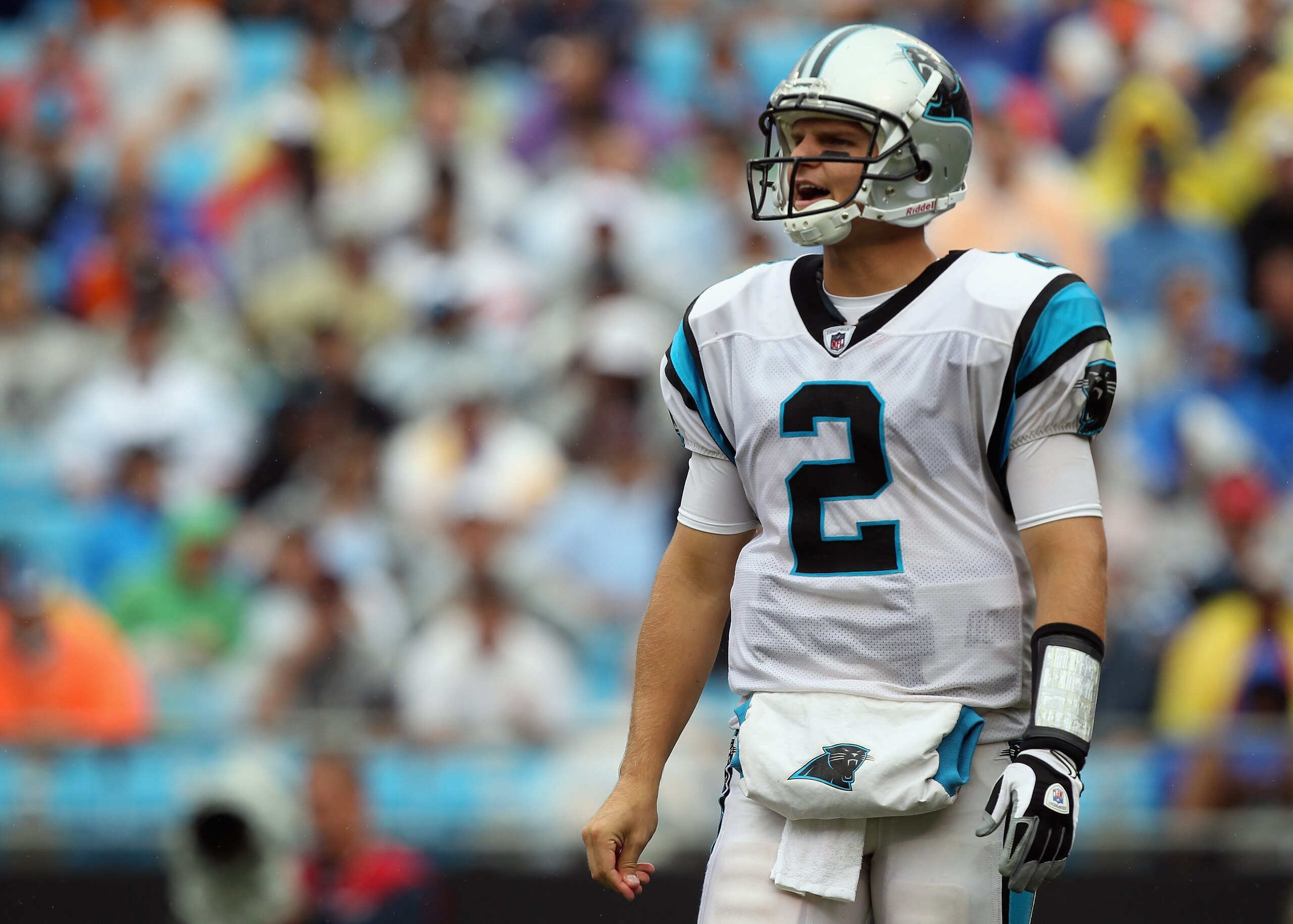 CHARLOTTE, NC - SEPTEMBER 26:  Casey Clausen #2 of the Carolina Panthers yells to his team during their game against the Cincinnati Bengals at Bank of America Stadium on September 26, 2010 in Charlotte, North Carolina.  (Photo by Streeter Lecka/Getty Imag