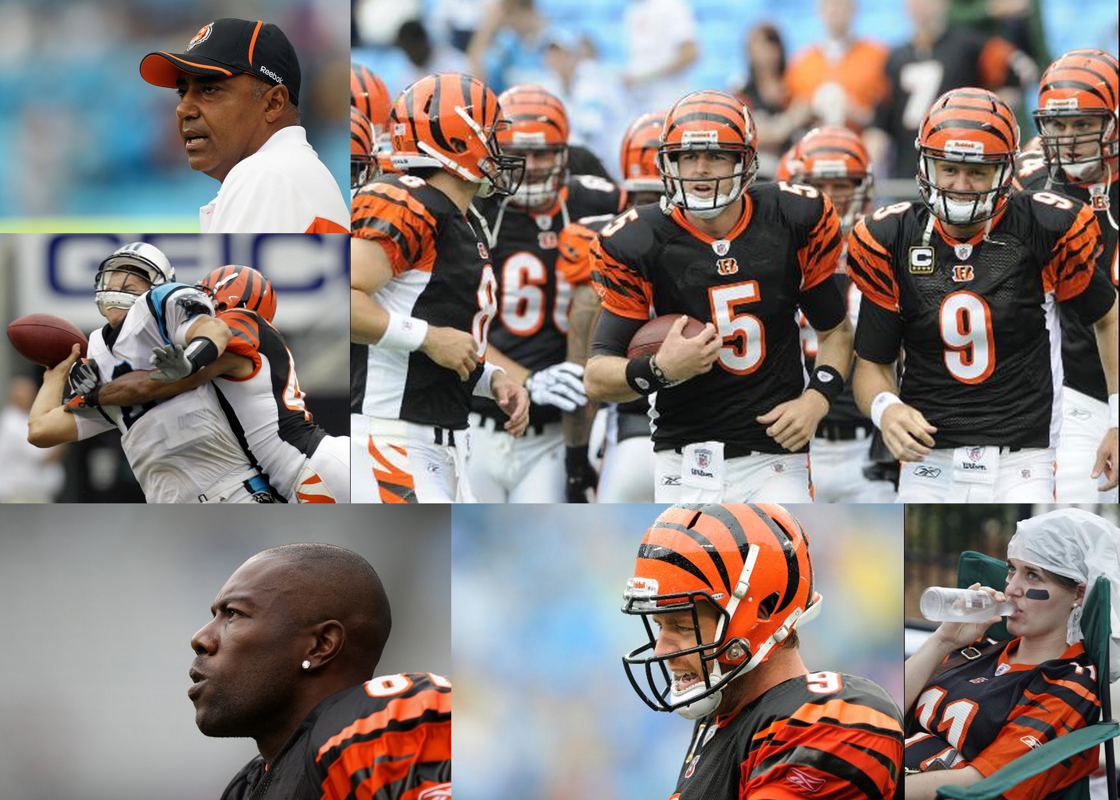 Cincinnati Bengals v Carolina Panthers 9-26-2010