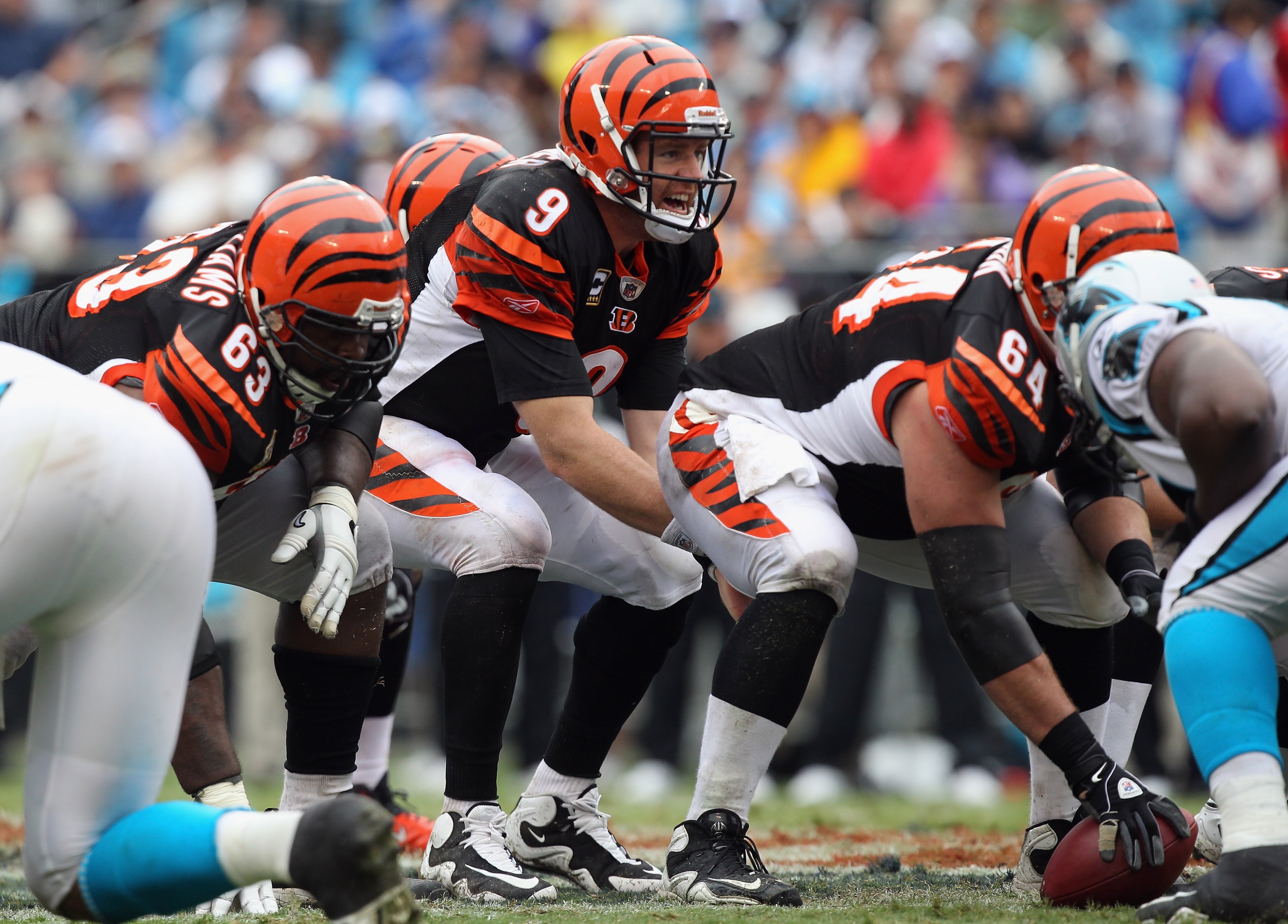 CHARLOTTE, NC - SEPTEMBER 26:  Carson Palmer #9 of the Cincinnati Bengals against the Carolina Panthers during their game at Bank of America Stadium on September 26, 2010 in Charlotte, North Carolina.  (Photo by Streeter Lecka/Getty Images)