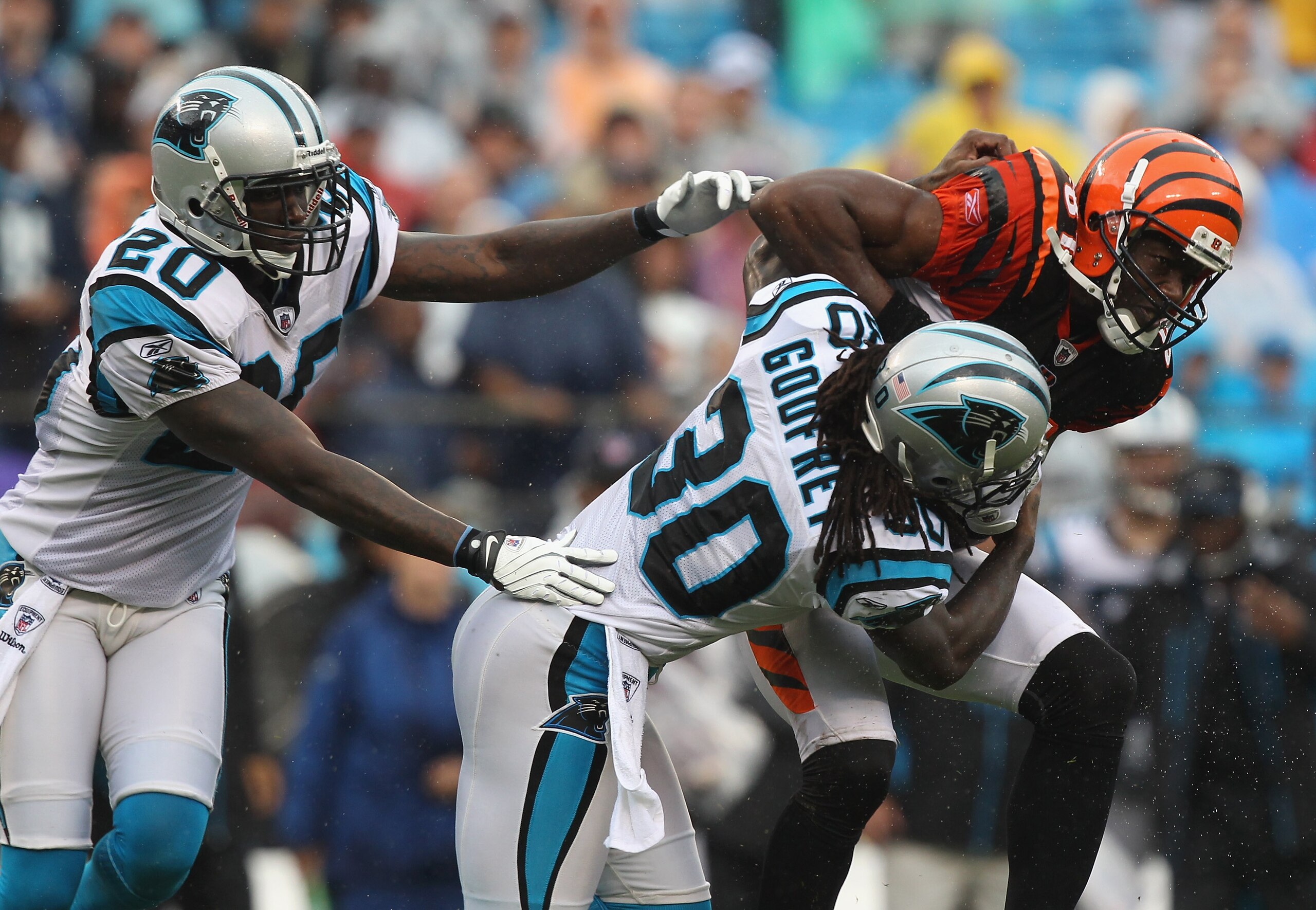 CHARLOTTE, NC - SEPTEMBER 26:  Terrell Owens #81 of the Cincinnati Bengals keeps the ball away from teammates Chris Gamble #20 and Charles Godfrey #30 of the Carolina Panthers during their game at Bank of America Stadium on September 26, 2010 in Charlotte