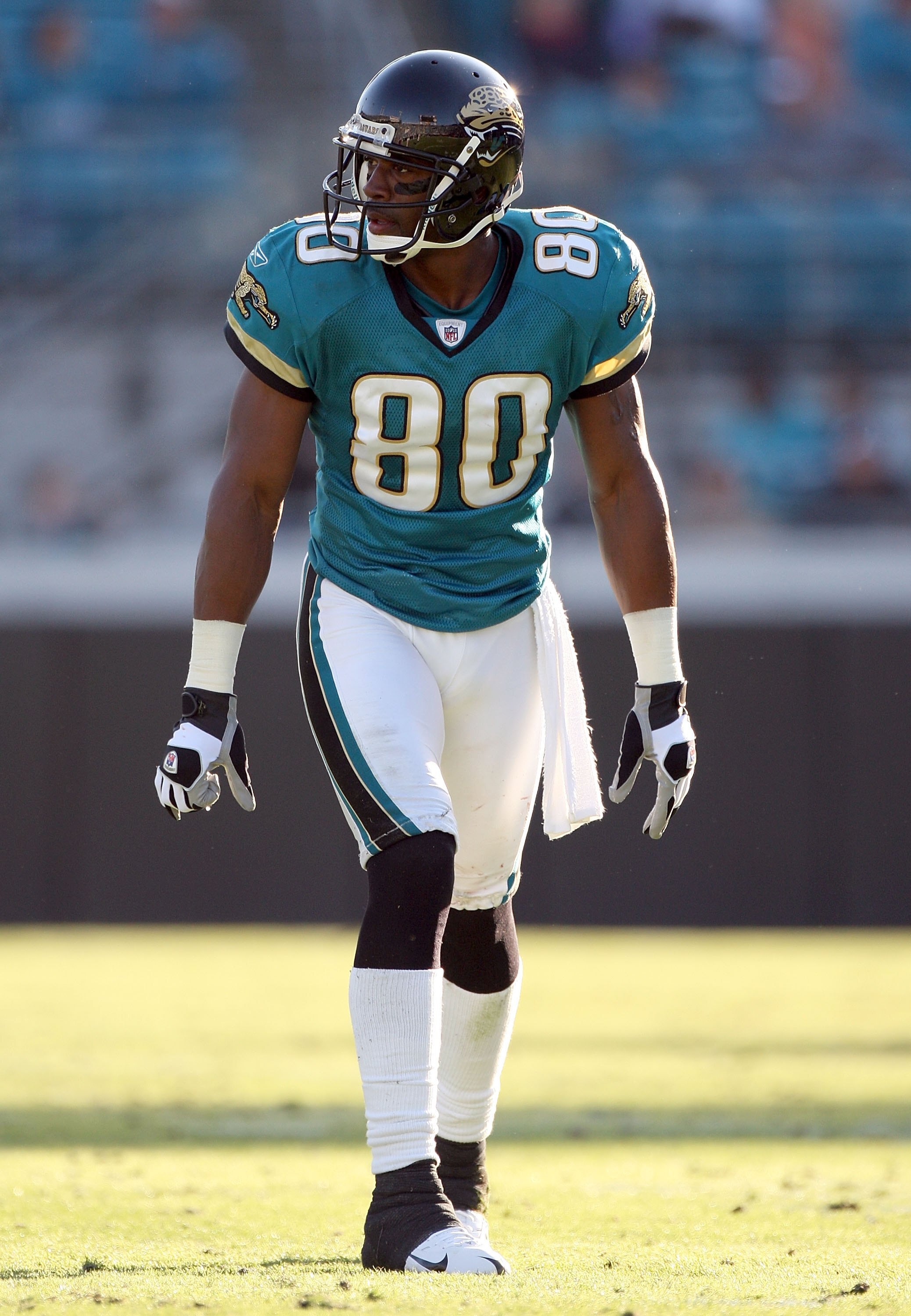 JACKSONVILLE, FL - NOVEMBER 23:  Jerry Porter #80 of the Jacksonville Jaguars during the game against the Minnesota Vikings at Jacksonville Municipal Stadium on November 23, 2008 in Jacksonville, Florida.  (Photo by Sam Greenwood/Getty Images)
