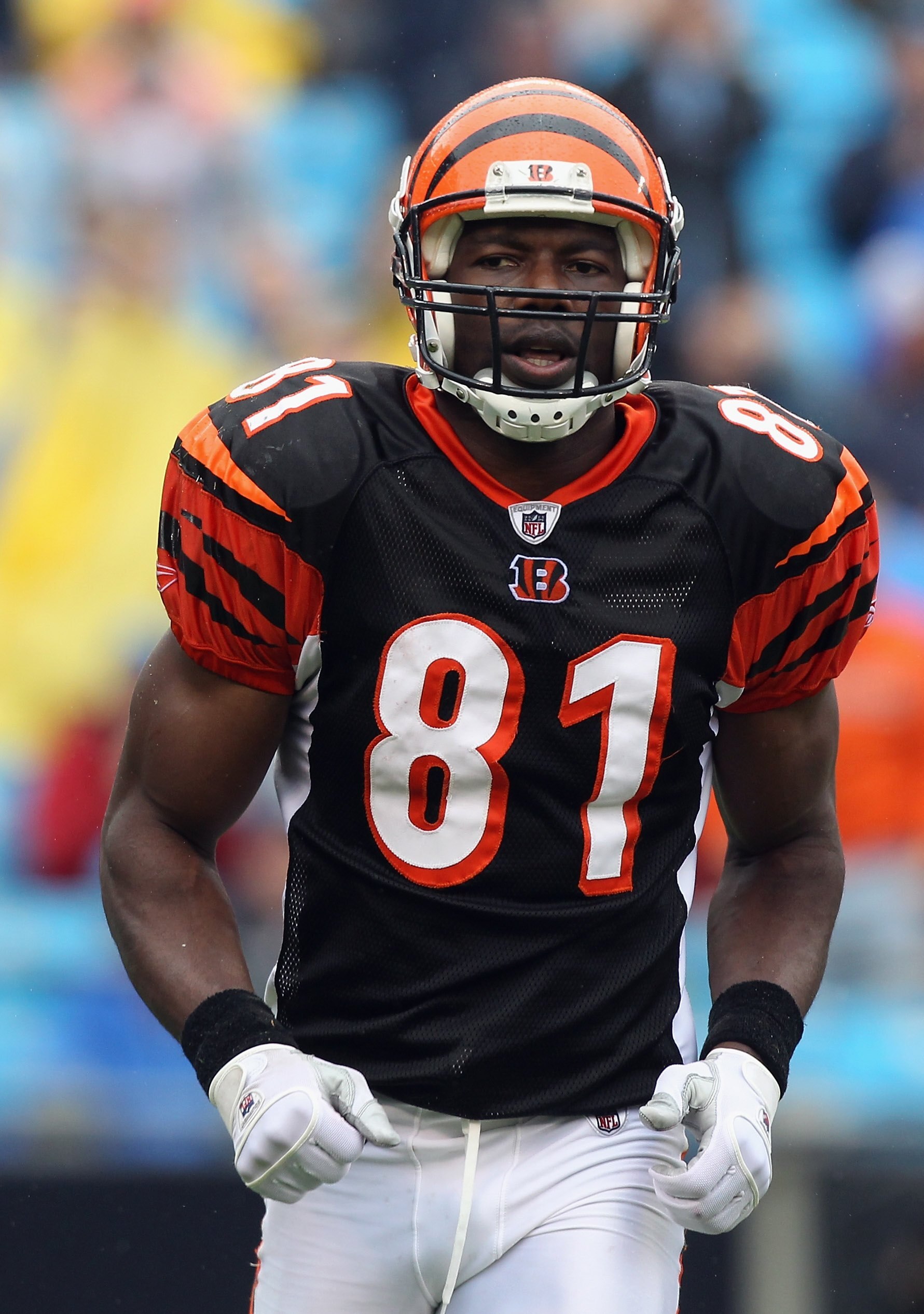 CHARLOTTE, NC - SEPTEMBER 26:  Terrell Owens #81 of the Cincinnati Bengals against the Carolina Panthers during their game at Bank of America Stadium on September 26, 2010 in Charlotte, North Carolina.  (Photo by Streeter Lecka/Getty Images)